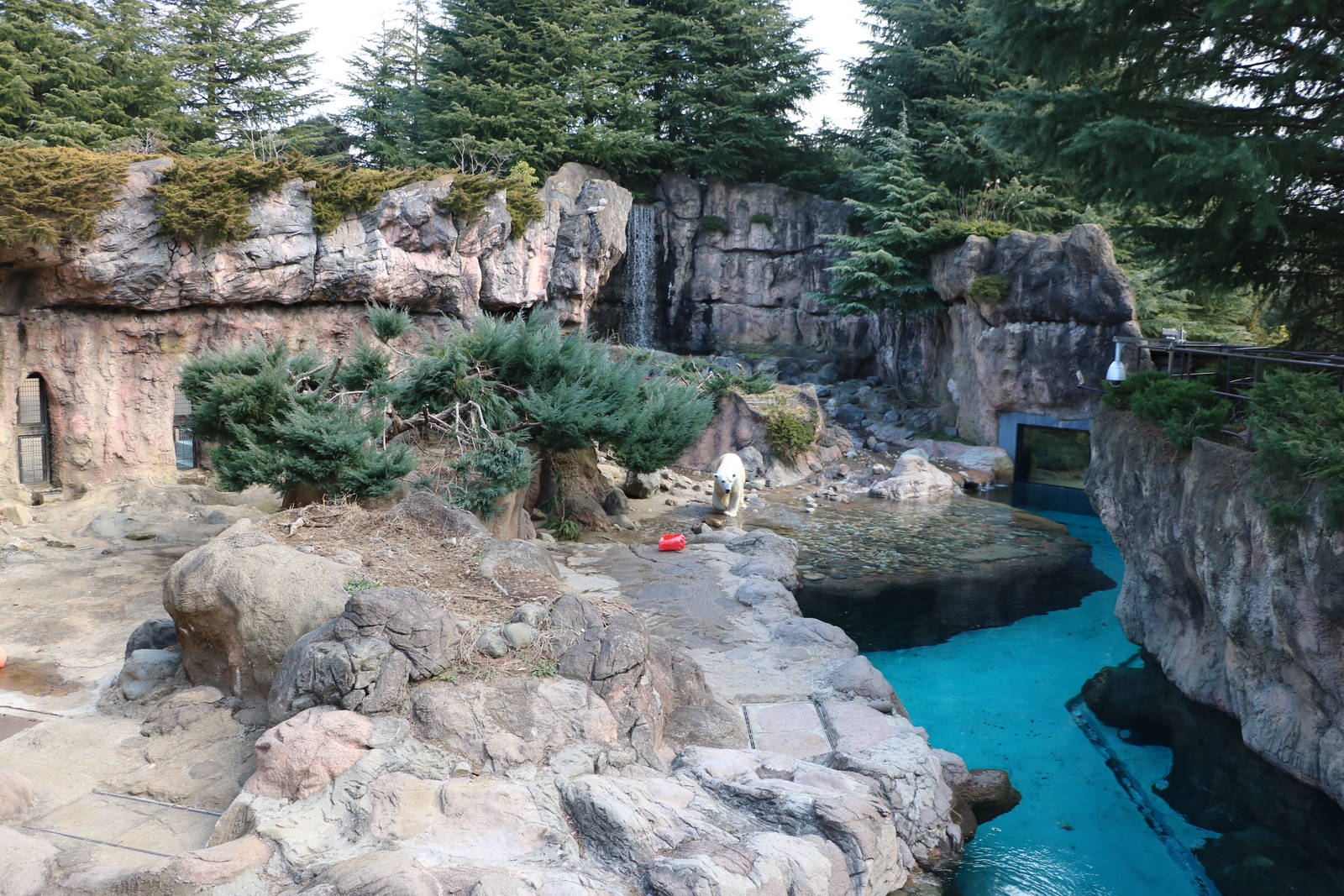 Polar bear enclosure, February 2016