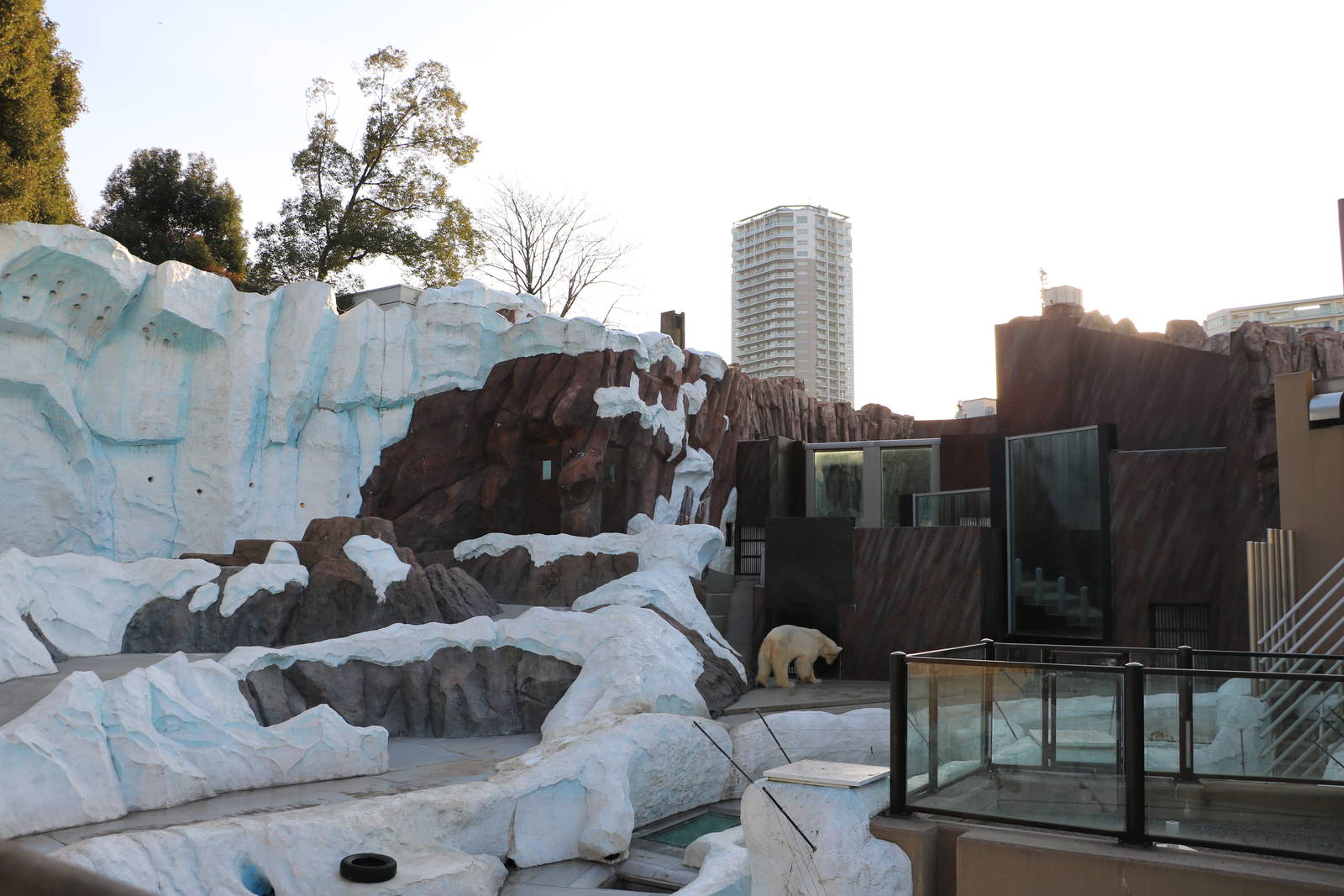Polar bear enclosure, February 2016