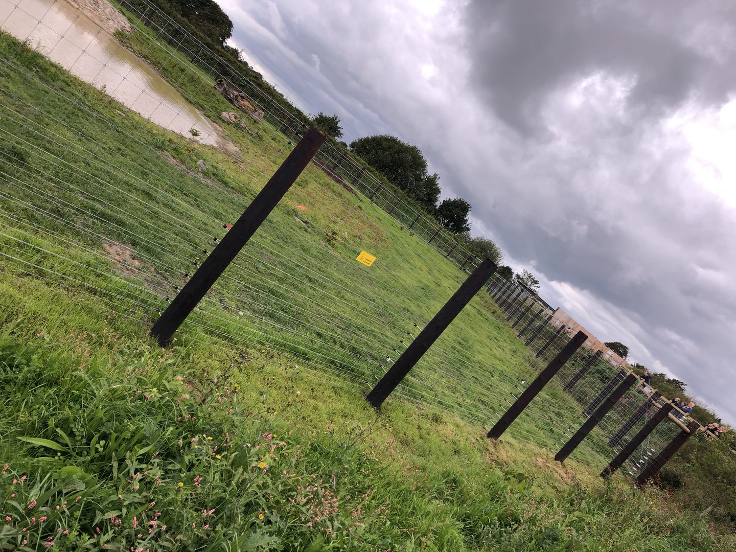 Polar Bear Enclosure Fencing at Peak Wildlife Park (August 2023)