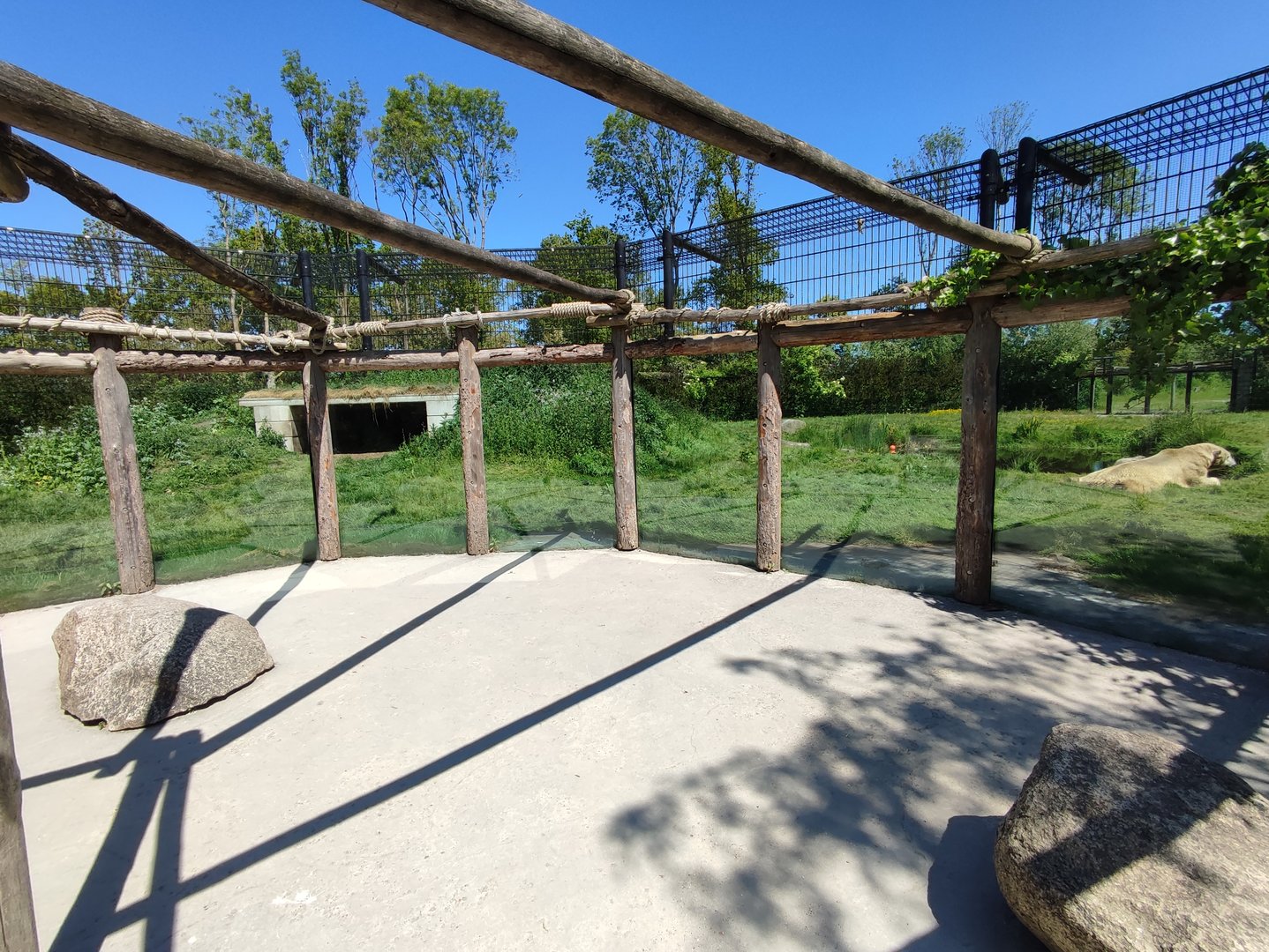Polar bear enclosure - first enclosure