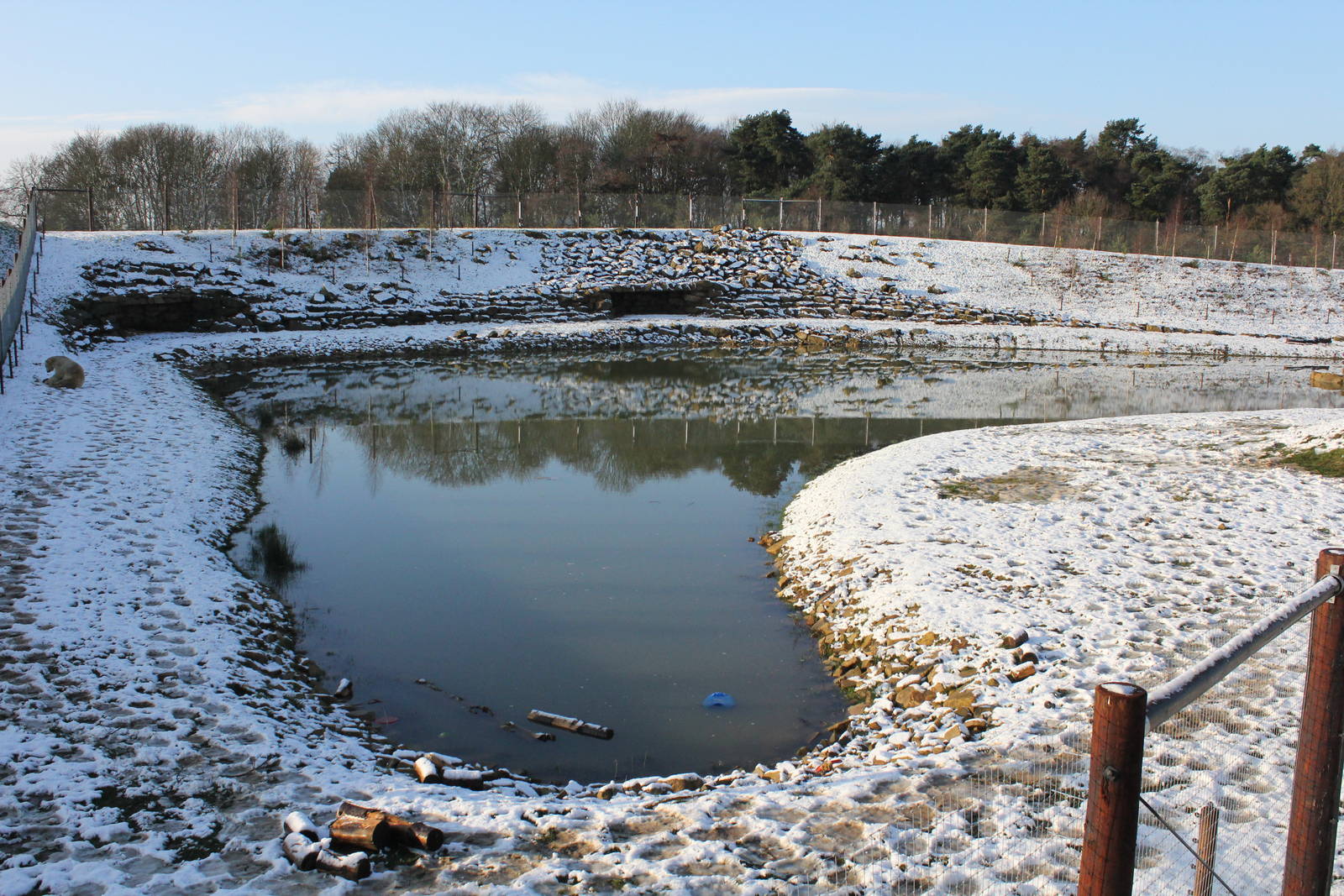 Polar bear enclosure in the snow 27-12-14