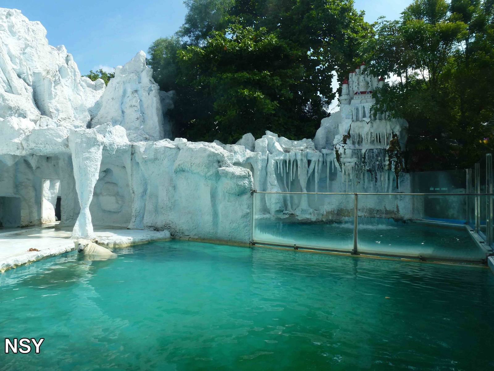 Polar bear enclosure, June 2013.