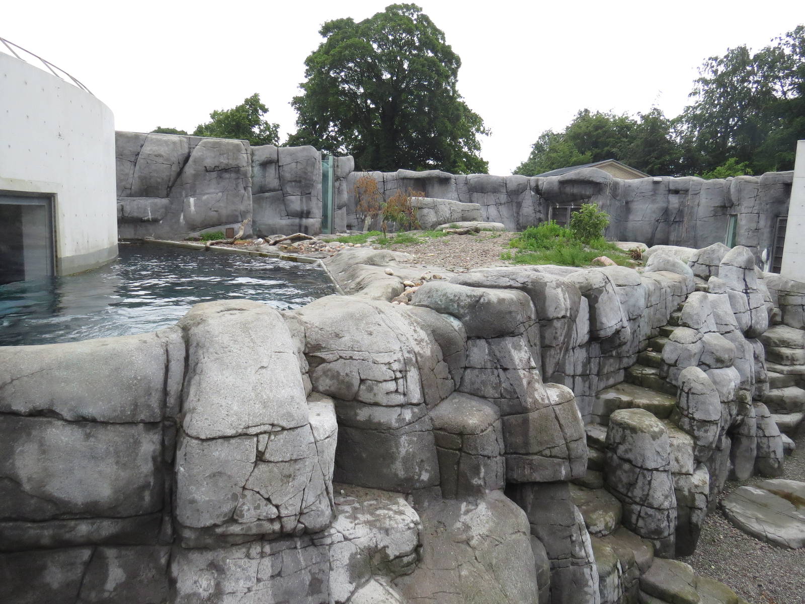 Polar bear enclosure, June 2015.
