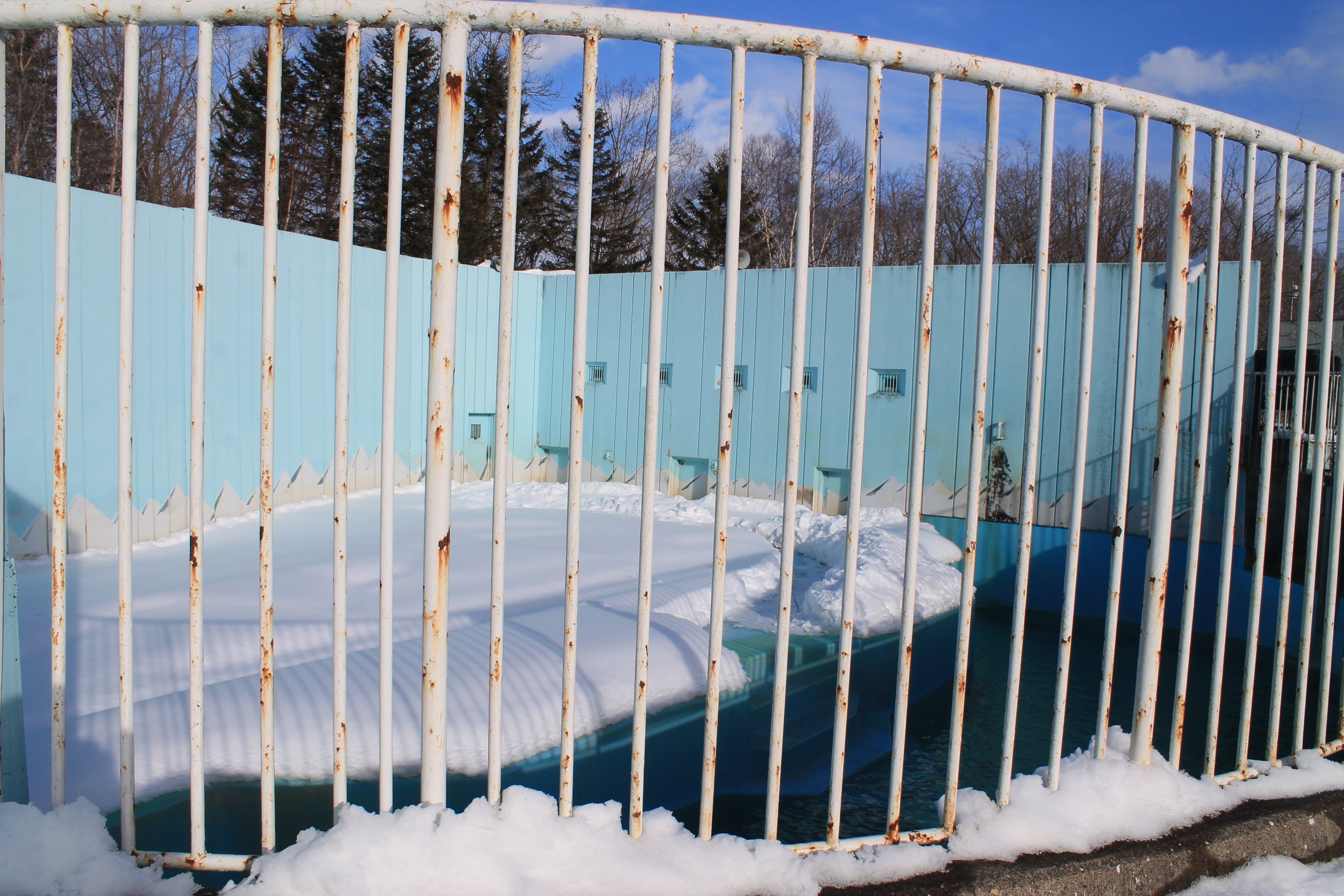 Polar Bear enclosure, Kushiro Zoo