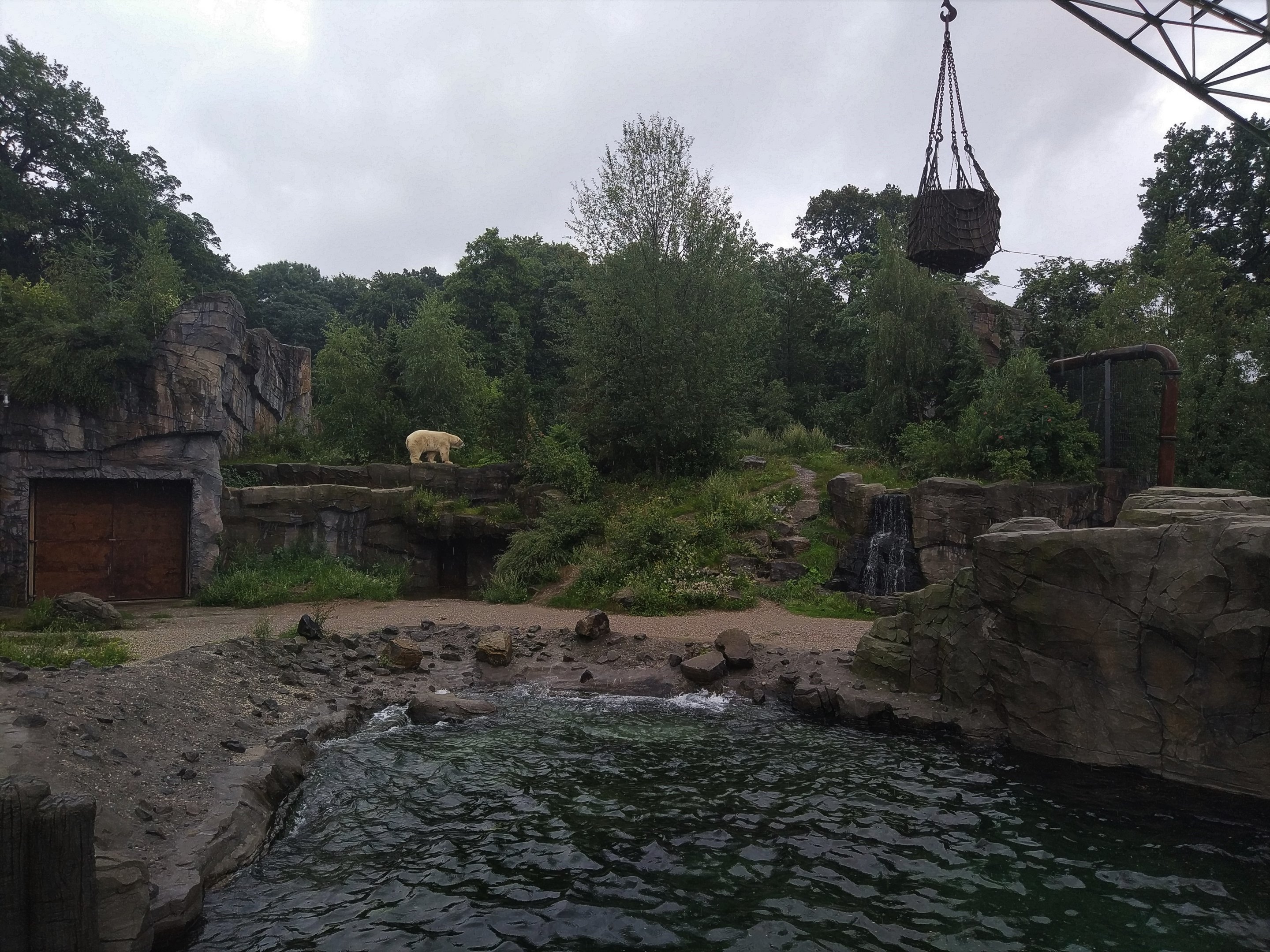 Polar Bear Enclosure - North America