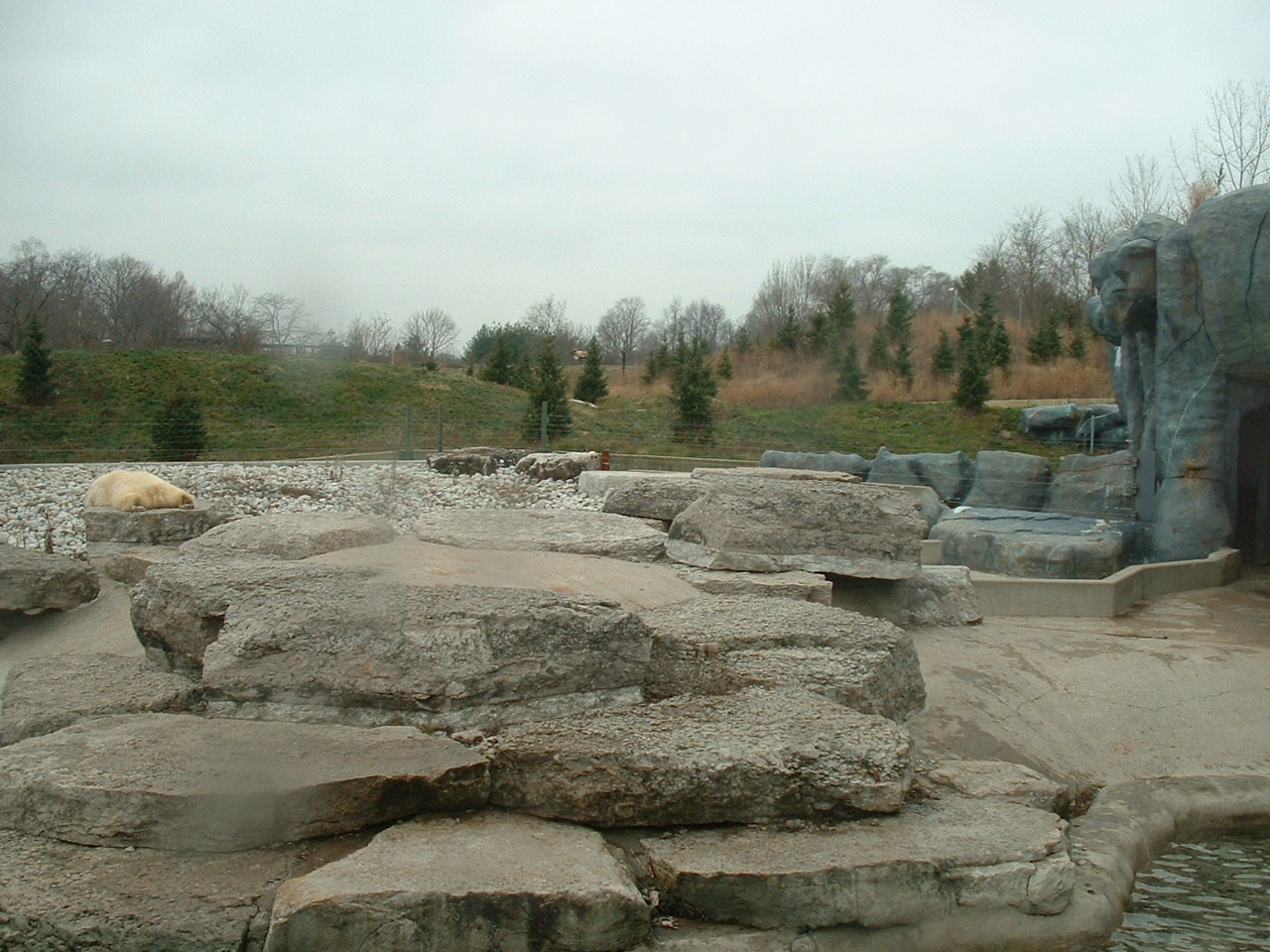 Polar Bear Enclosure - Nov 2012