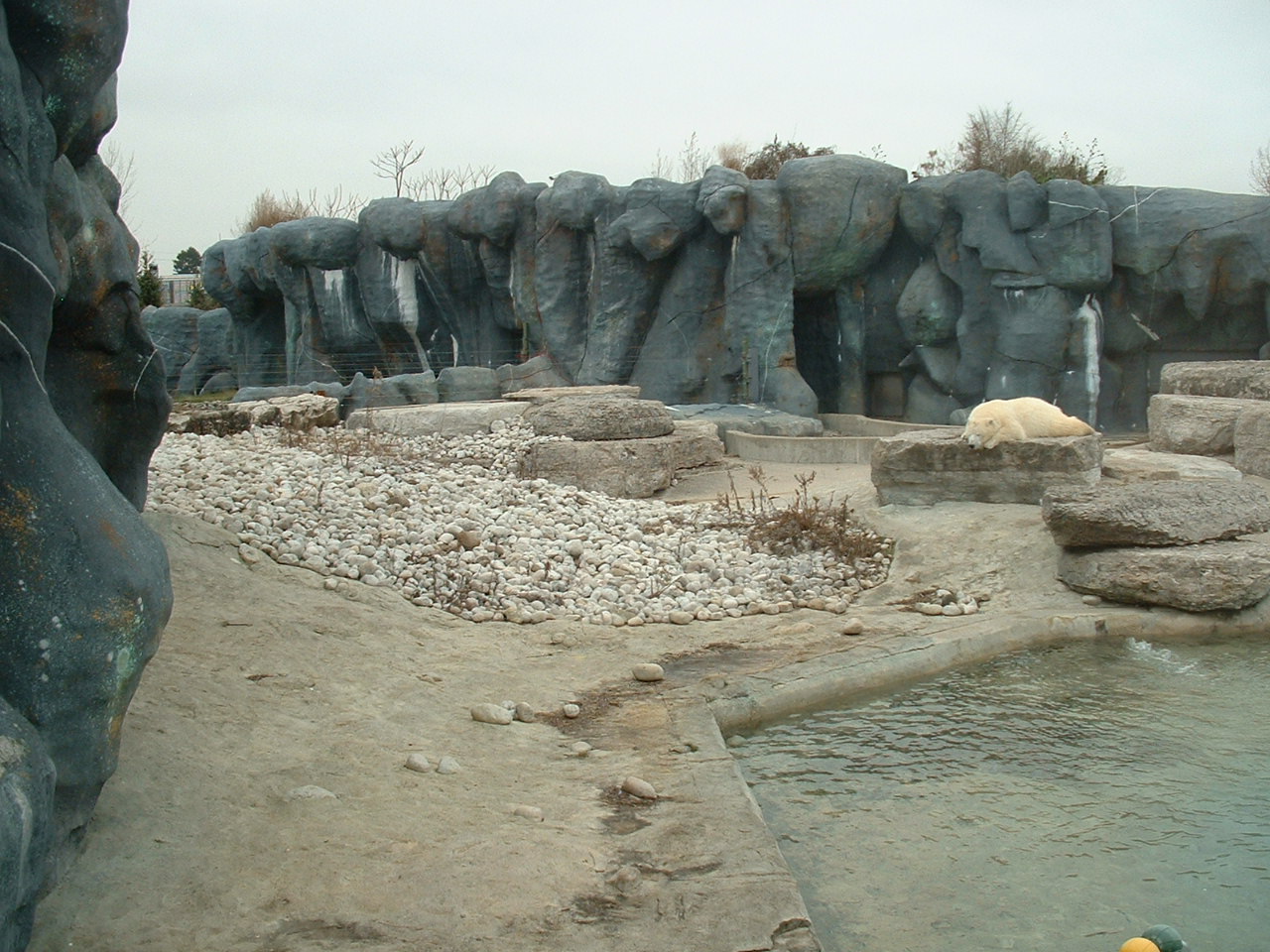 Polar Bear Enclosure - Nov 2012