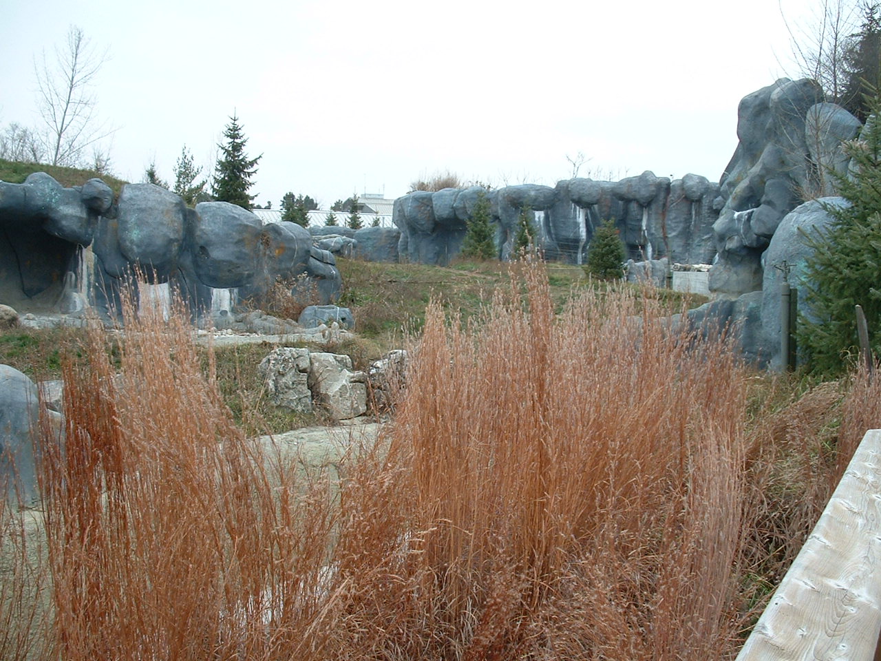 Polar Bear Enclosure - Nov 2012