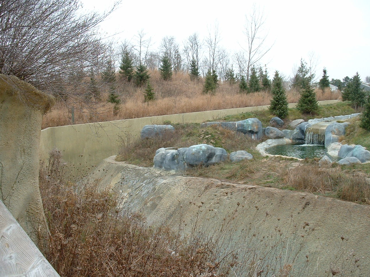 Polar Bear Enclosure - Nov 2012