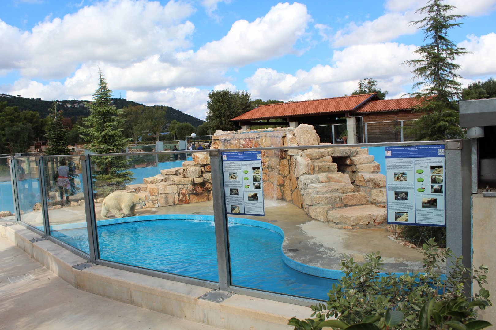 Polar Bear Enclosure - Oct 2019