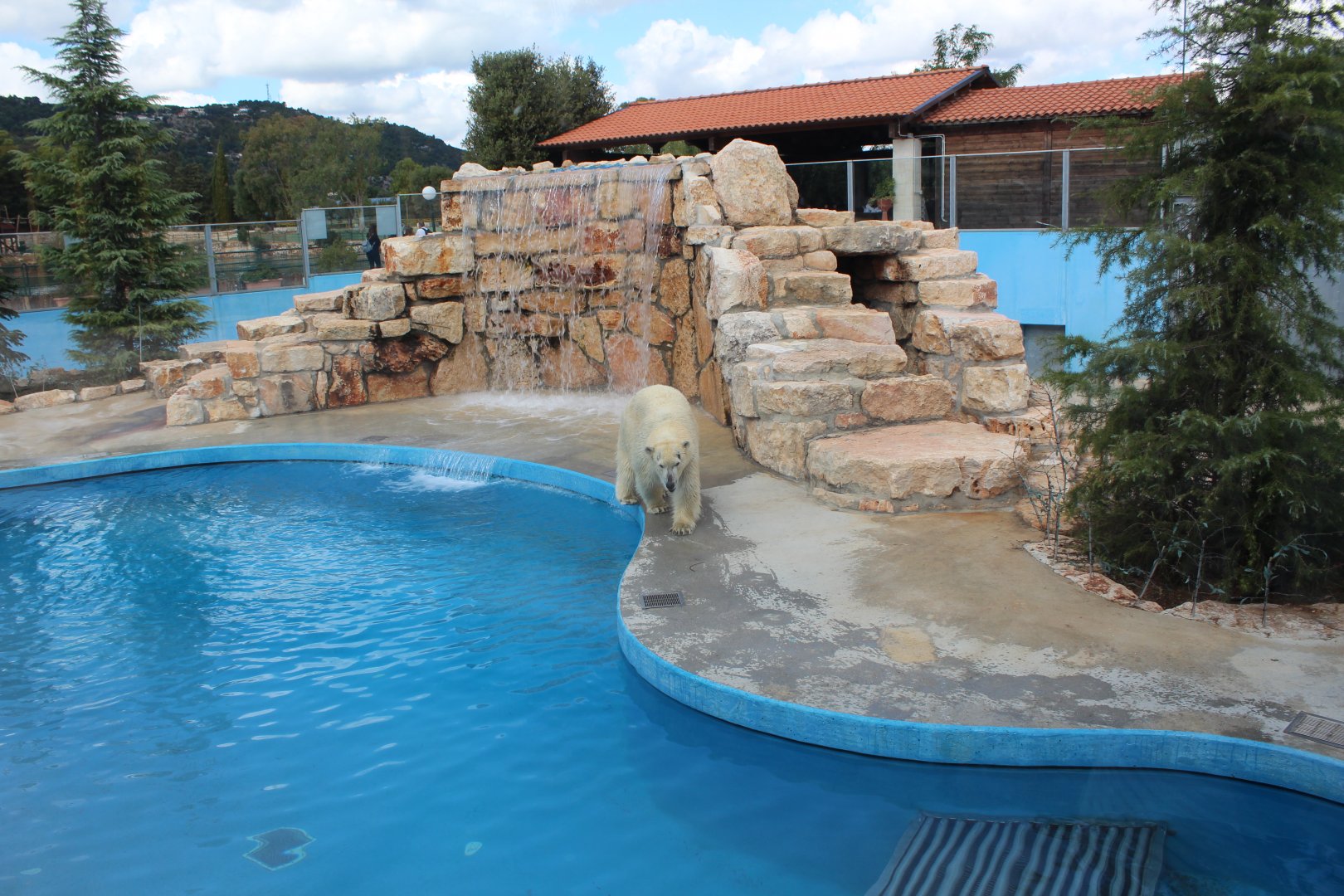 Polar Bear Enclosure - Oct 2019