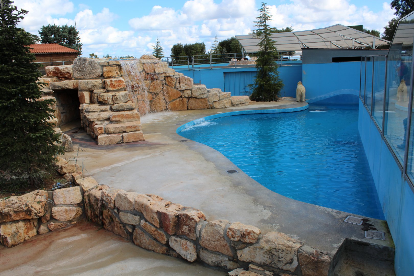 Polar Bear Enclosure - Oct 2019