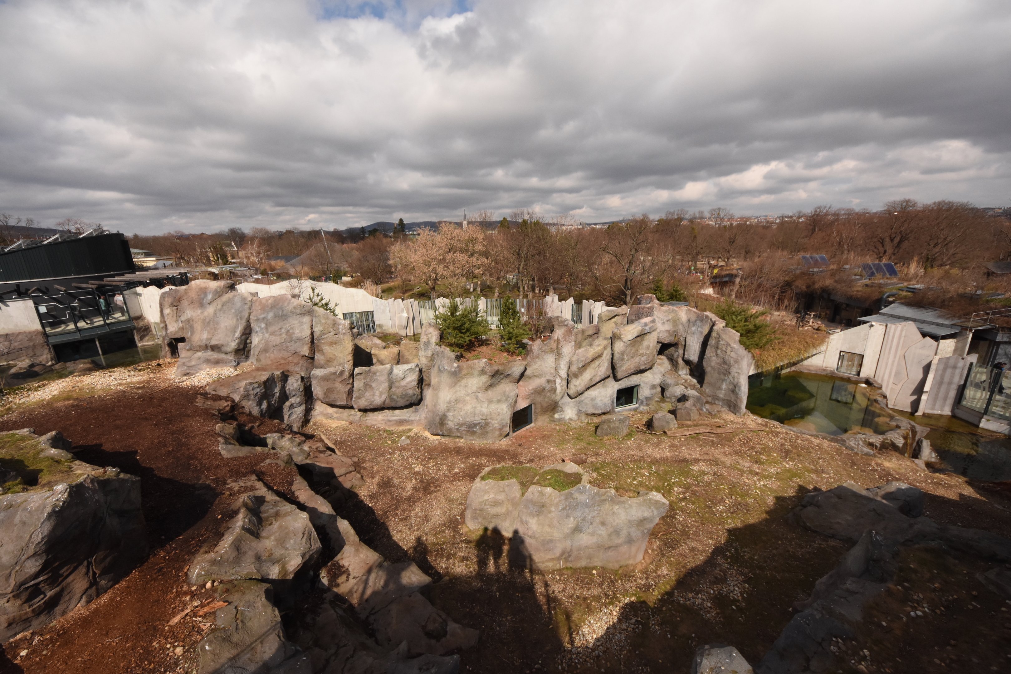 Polar bear enclosure overview