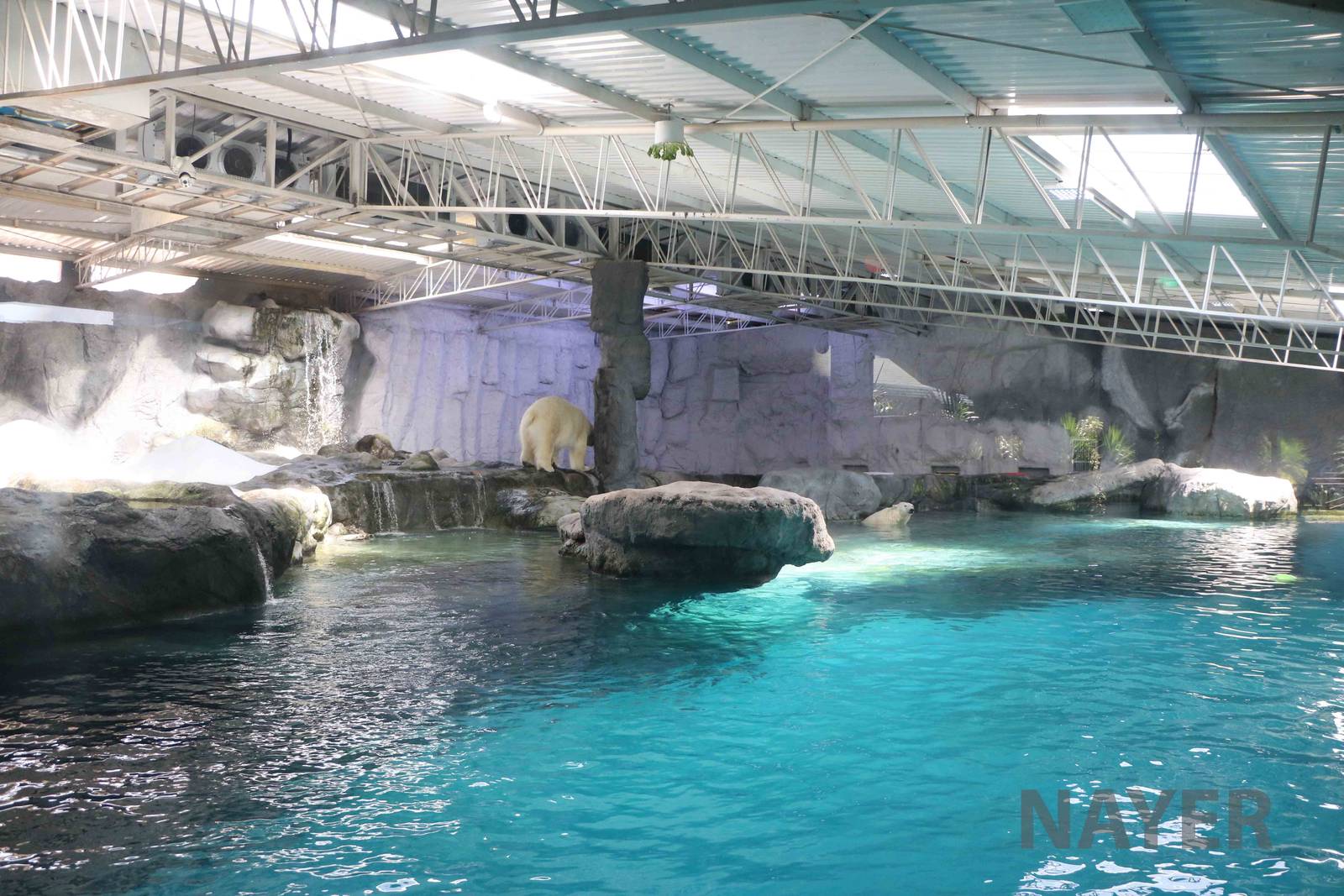 Polar bear enclosure (partial view), April 2016