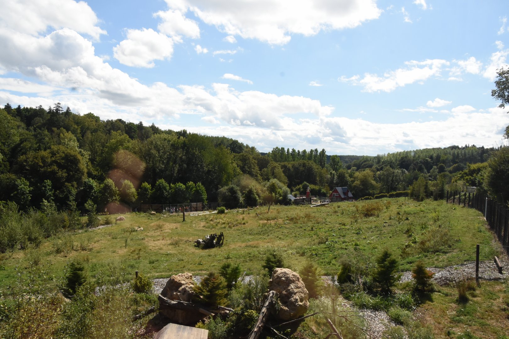 Polar Bear enclosure (Polar fox in foreground