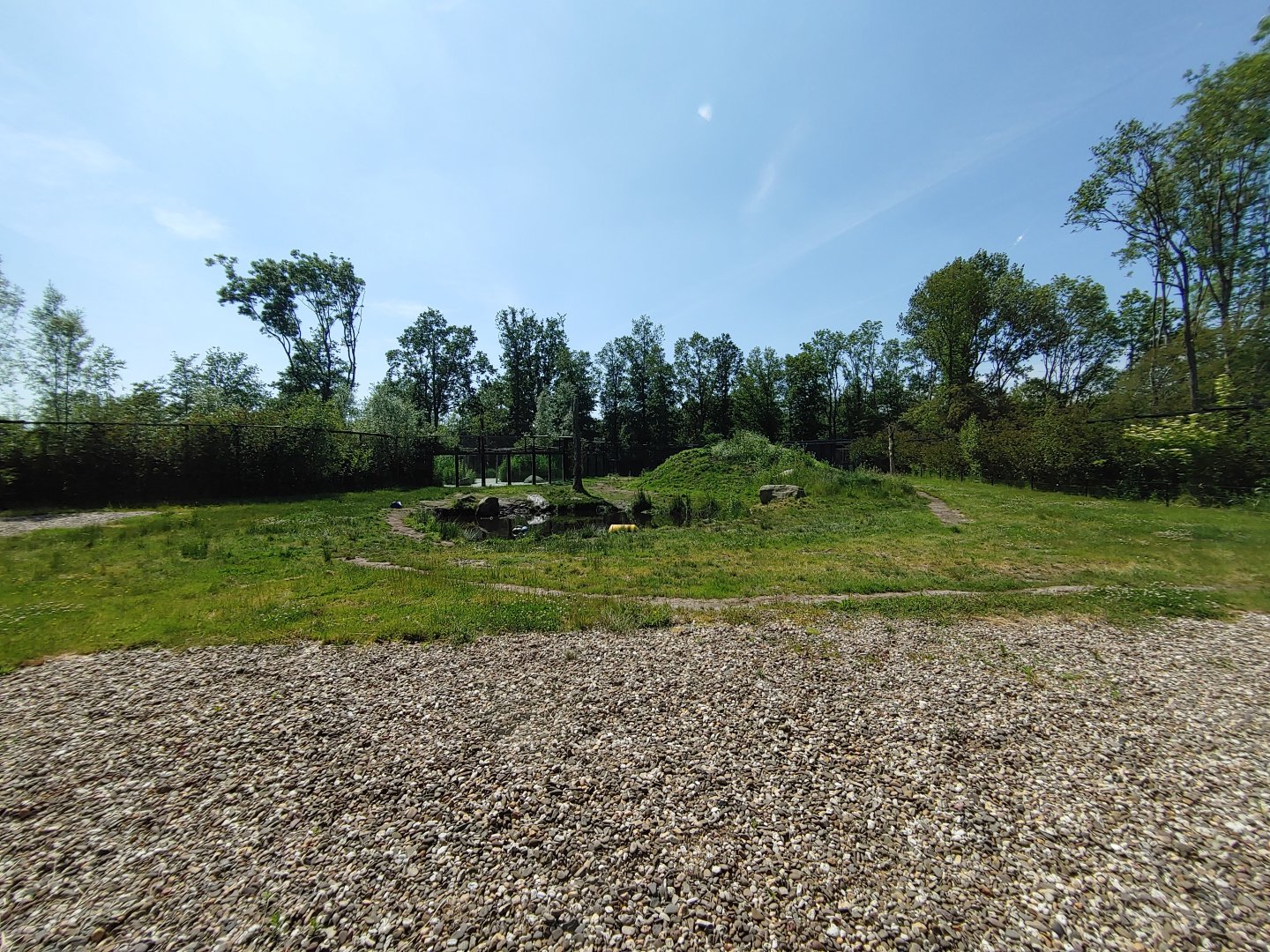 Polar bear enclosure - right enclosure