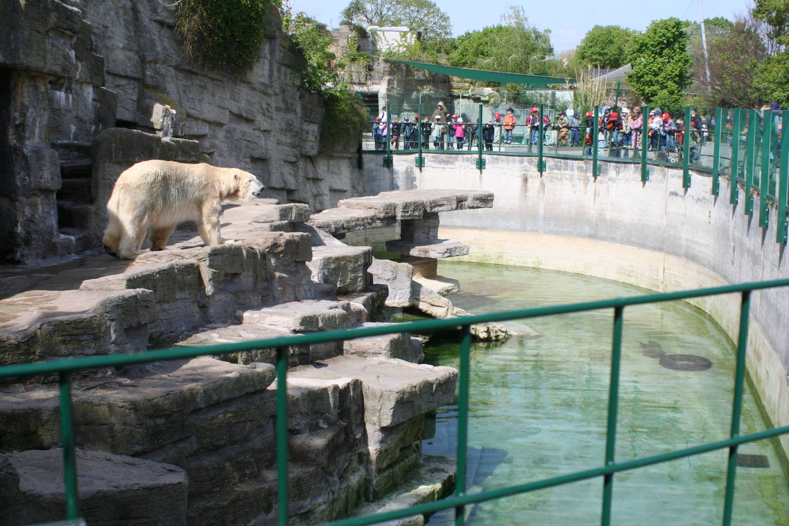 Polar Bear enclosure @ Schonbrunn Zoo, Vienna 19.04.07
