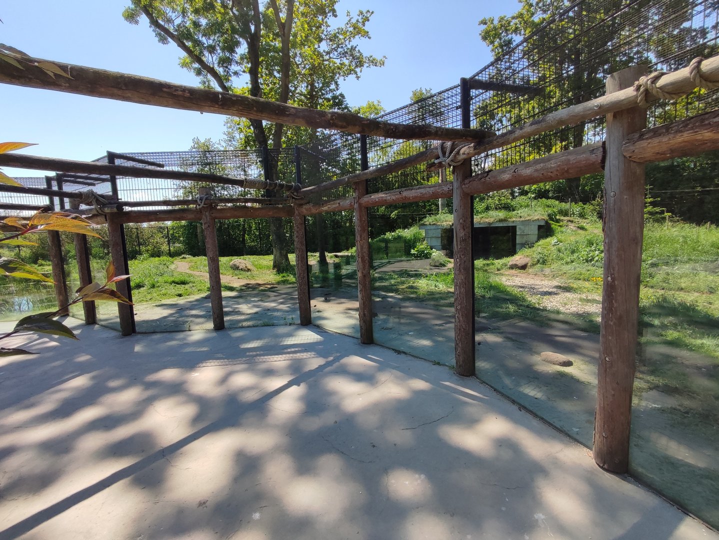 Polar bear enclosure - second enclosure