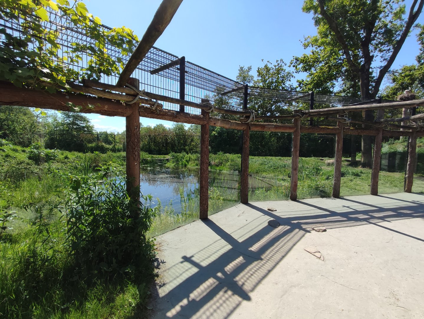 Polar bear enclosure - second enclosure