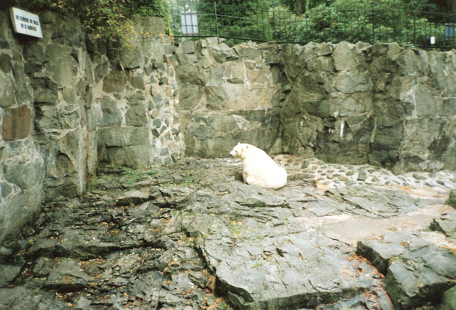 Polar Bear Enclosure September 1991
