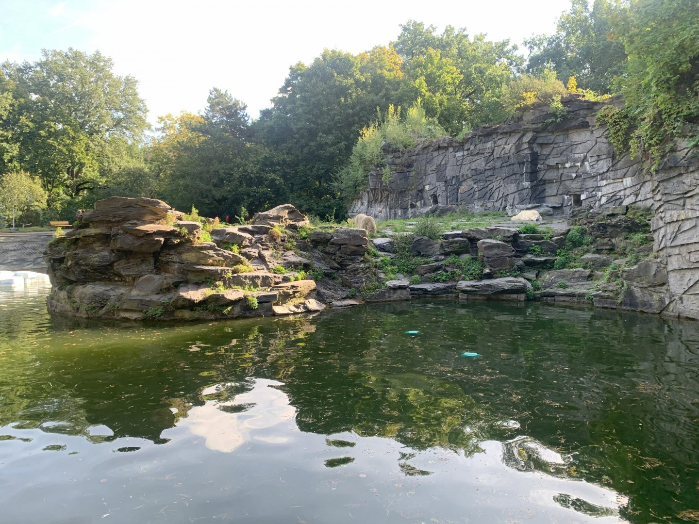 Polar Bear enclosure, side view