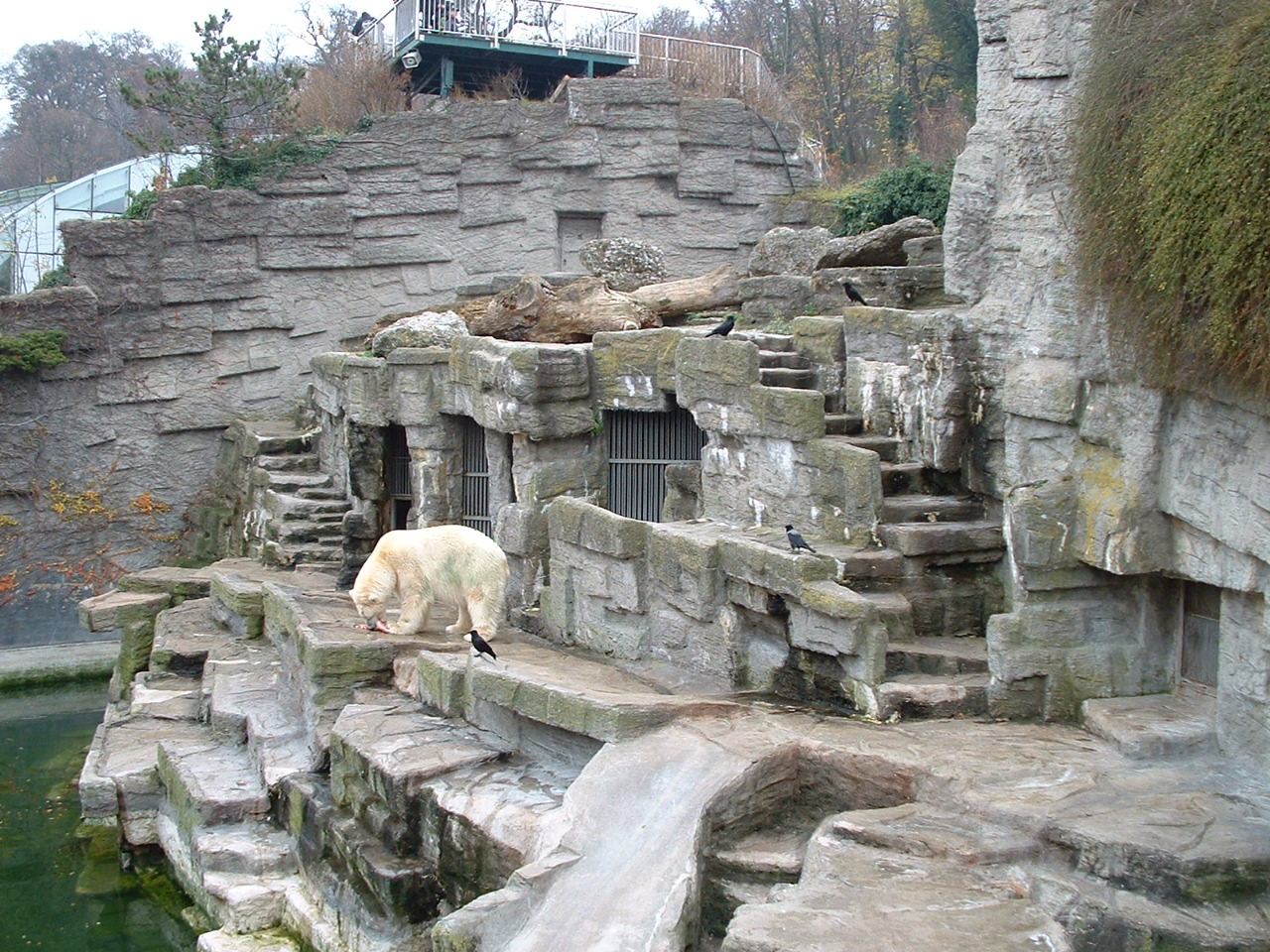 Polar Bear Enclosure - Vienna 2006