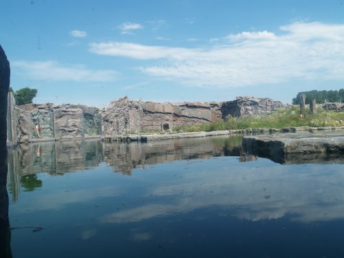 Polar bear enclosure @  Zoom Erlebniswelt