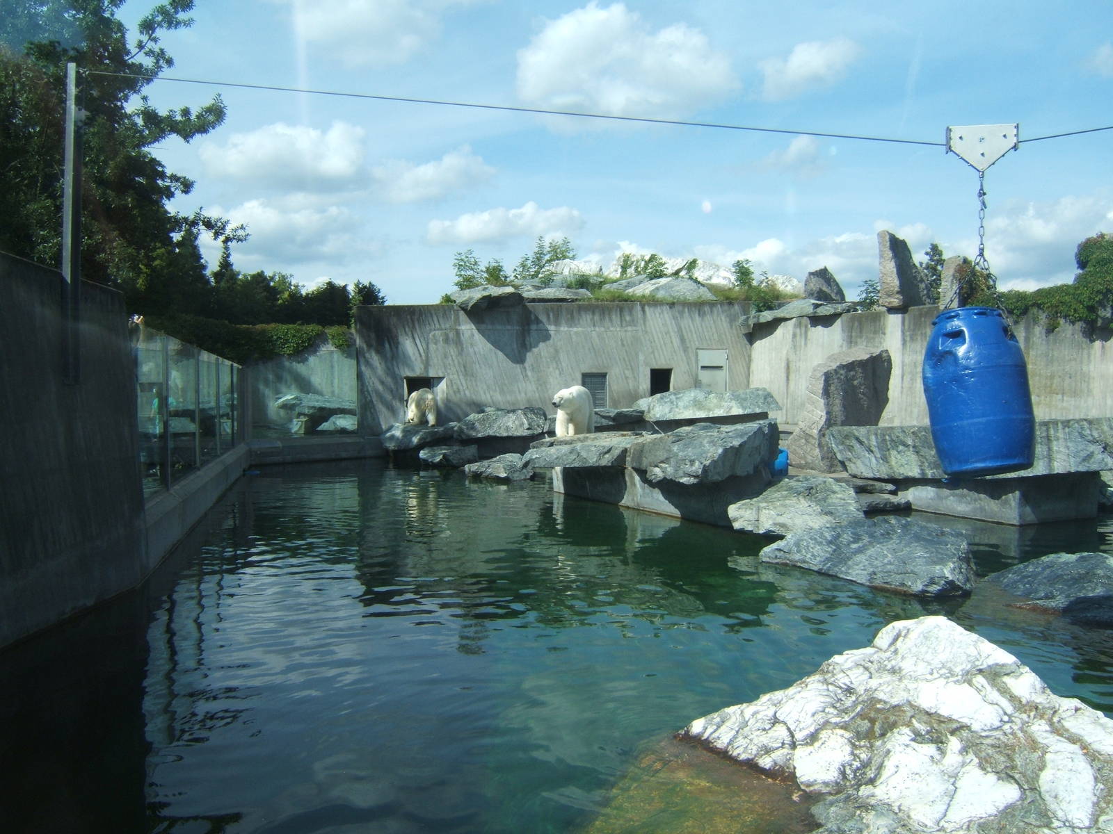 Polar Bear enclosure