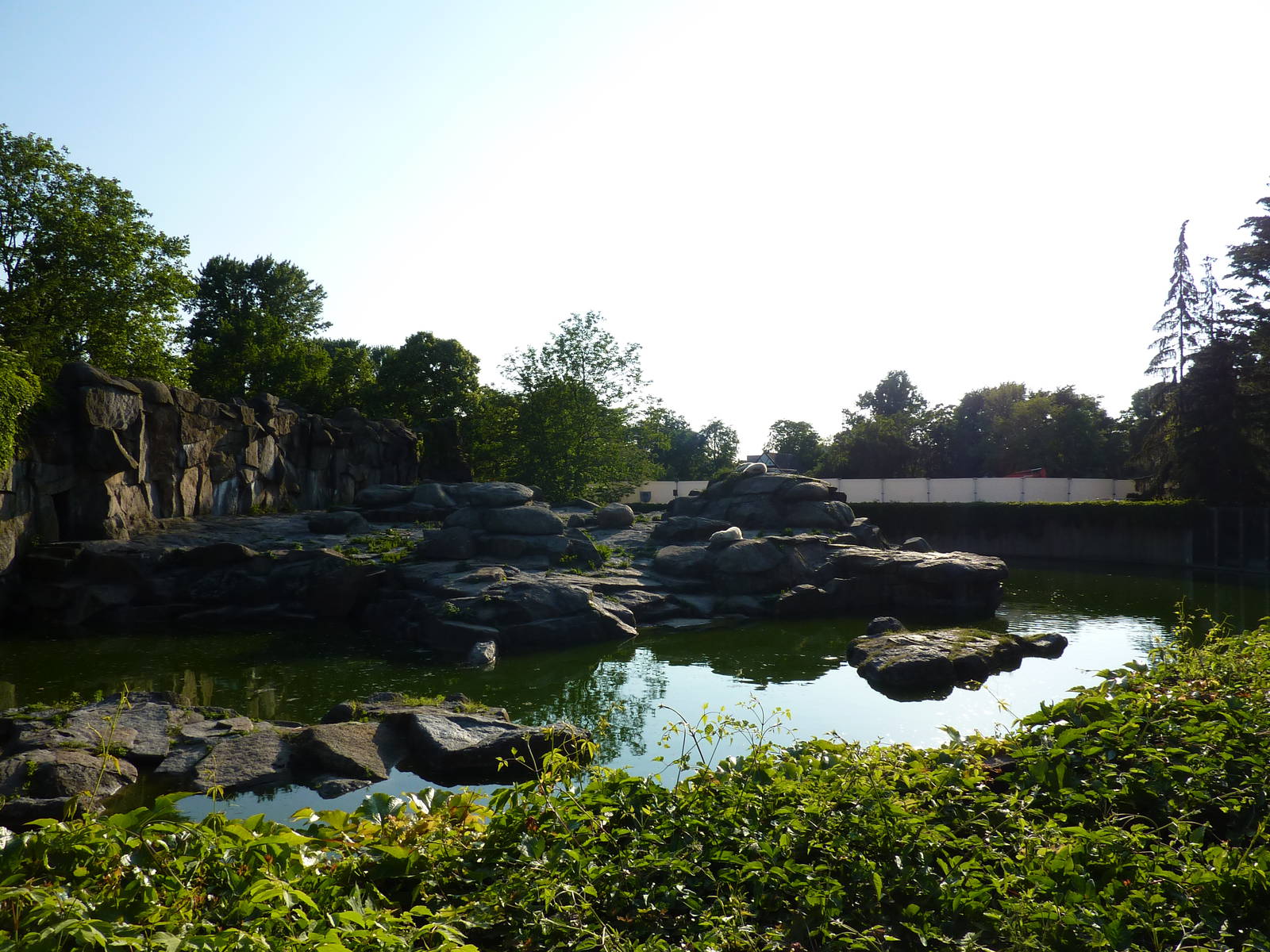 Polar bear enclosure
