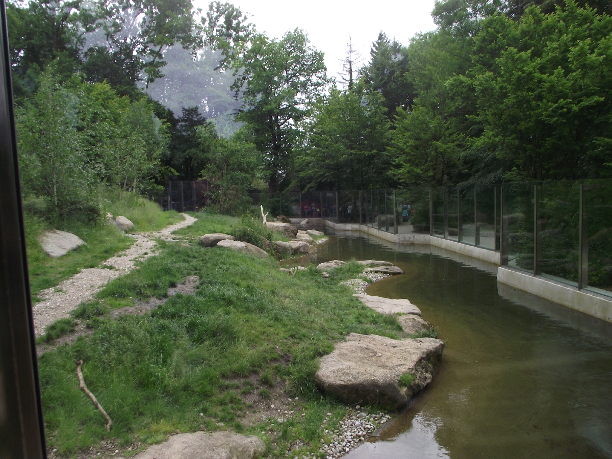 Polar Bear Enclosure