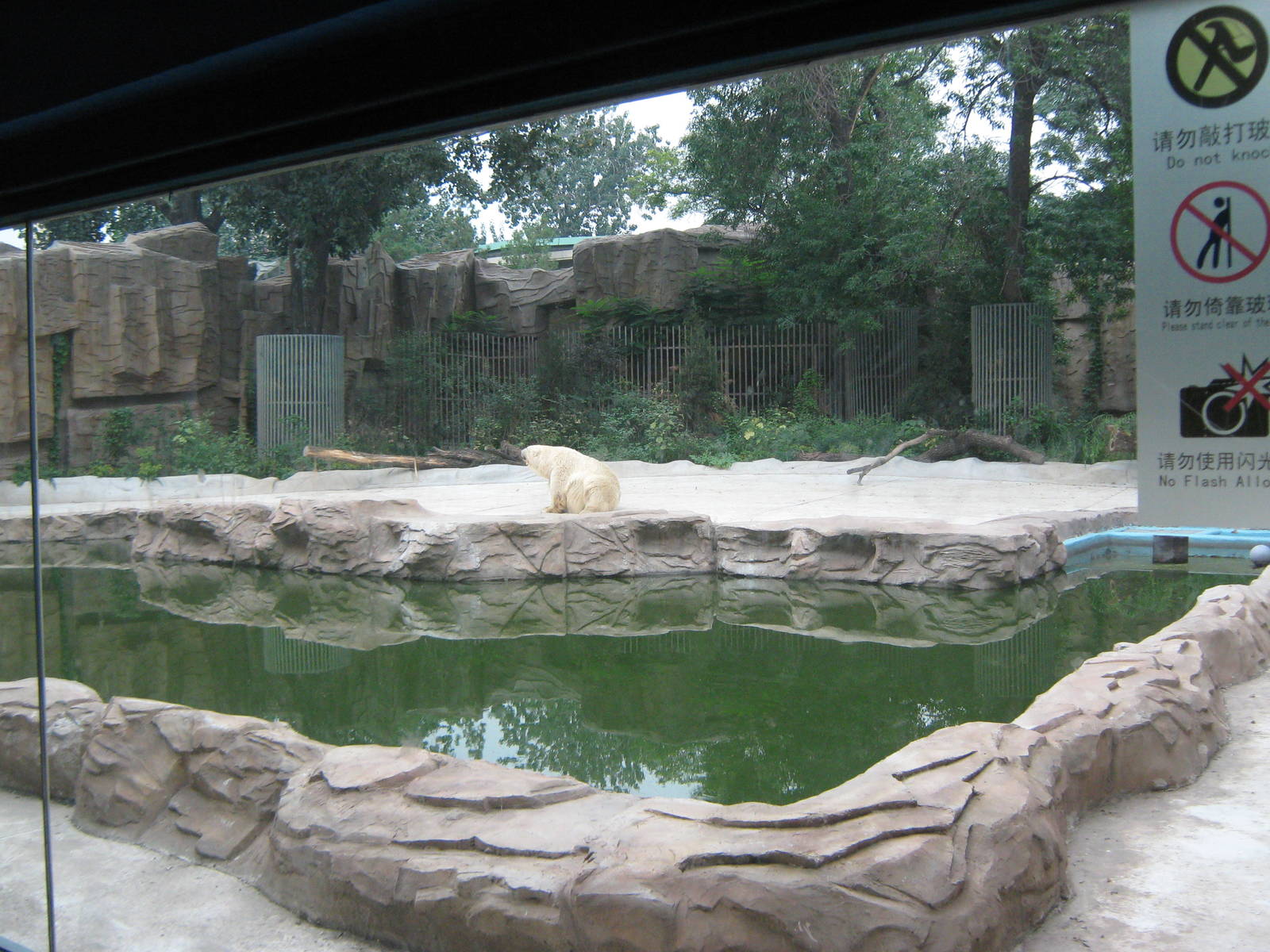 polar bear enclosure