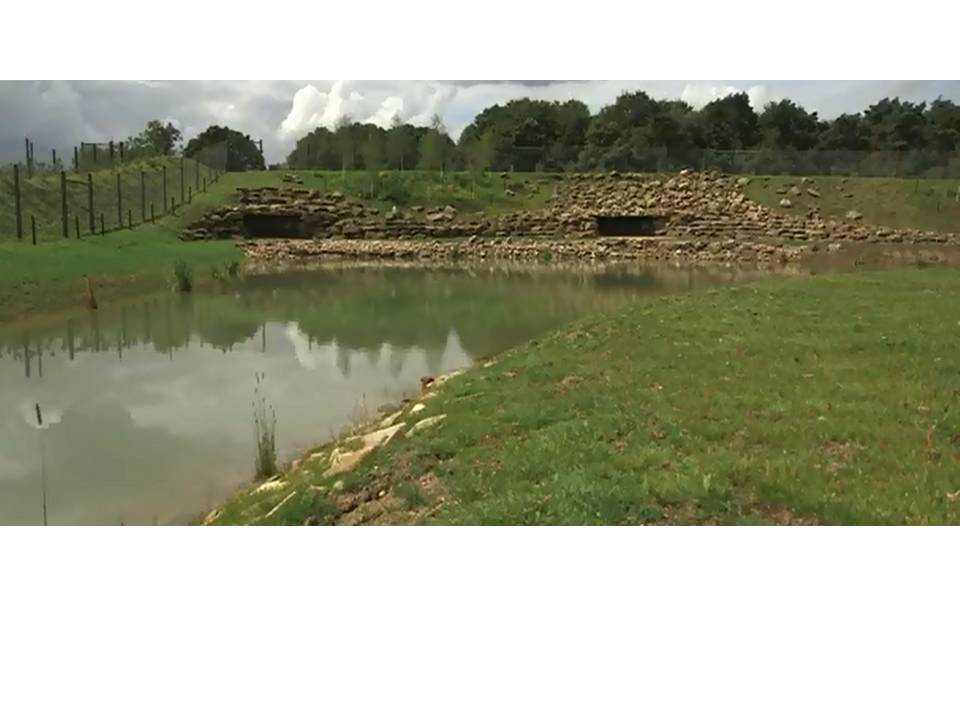 Polar bear enclosure
