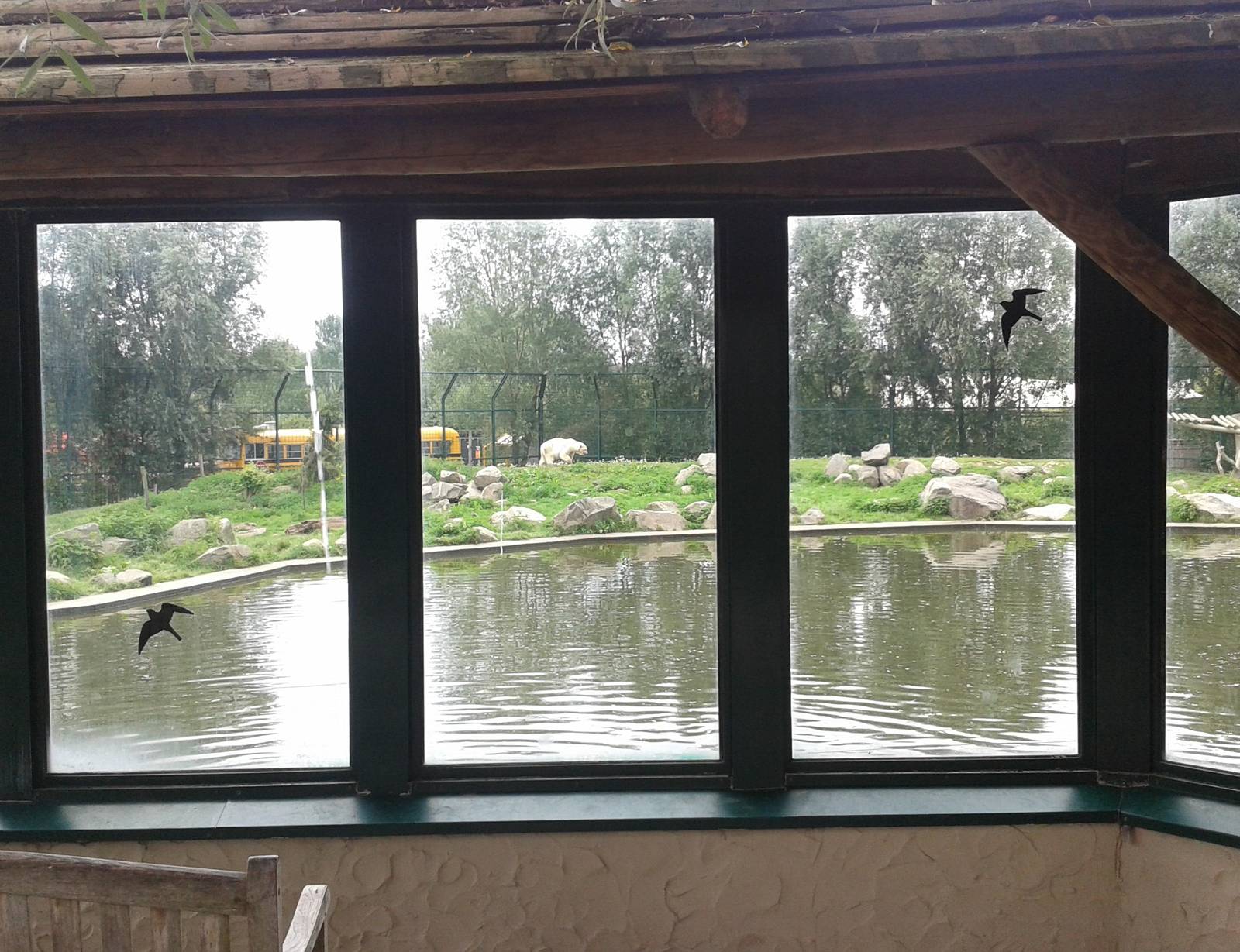 Polar bear enclosure