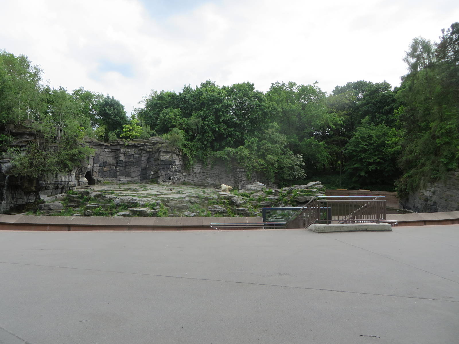 Polar bear enclosure