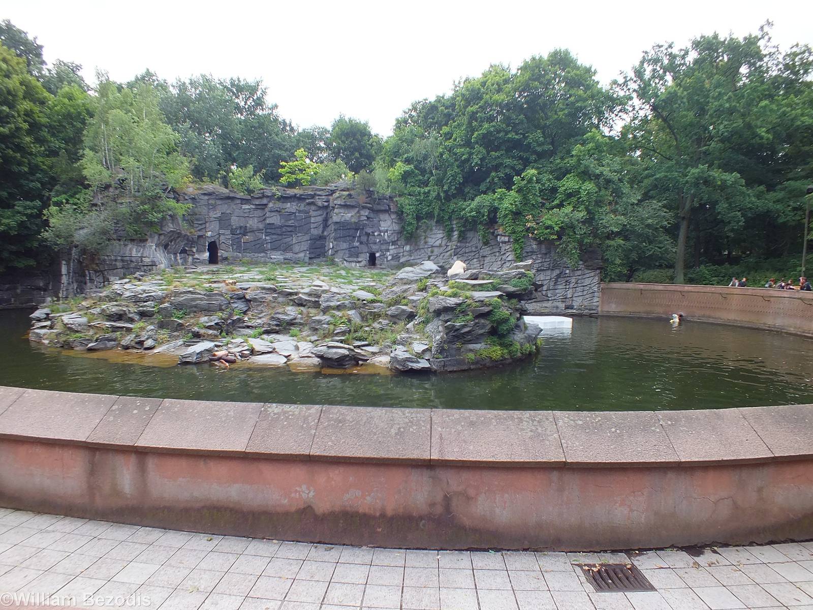 Polar Bear Enclosure