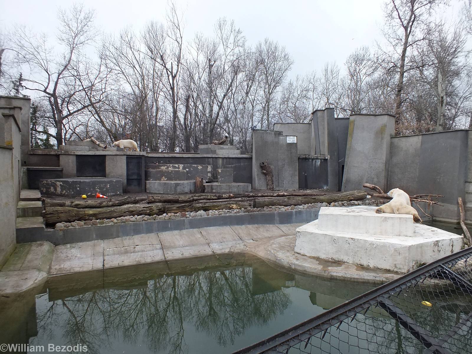 Polar Bear Enclosure