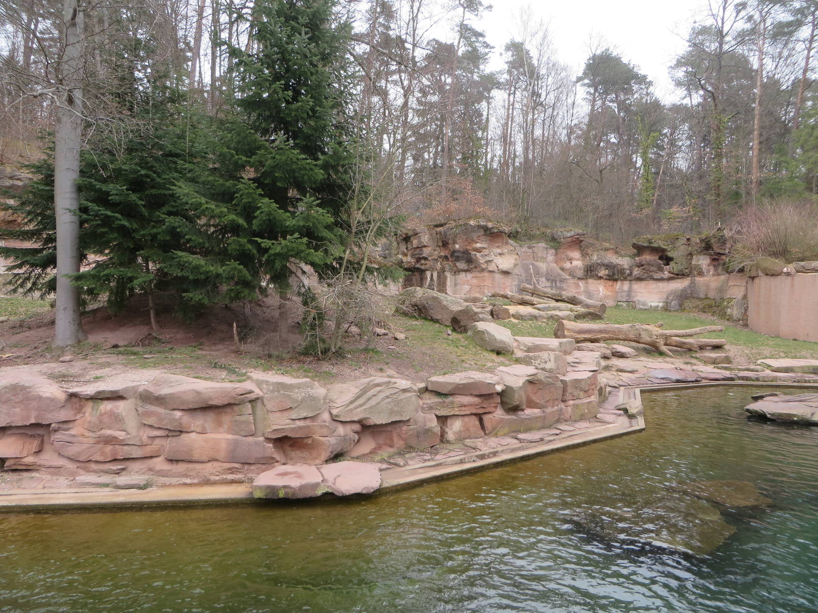 Polar bear enclosure