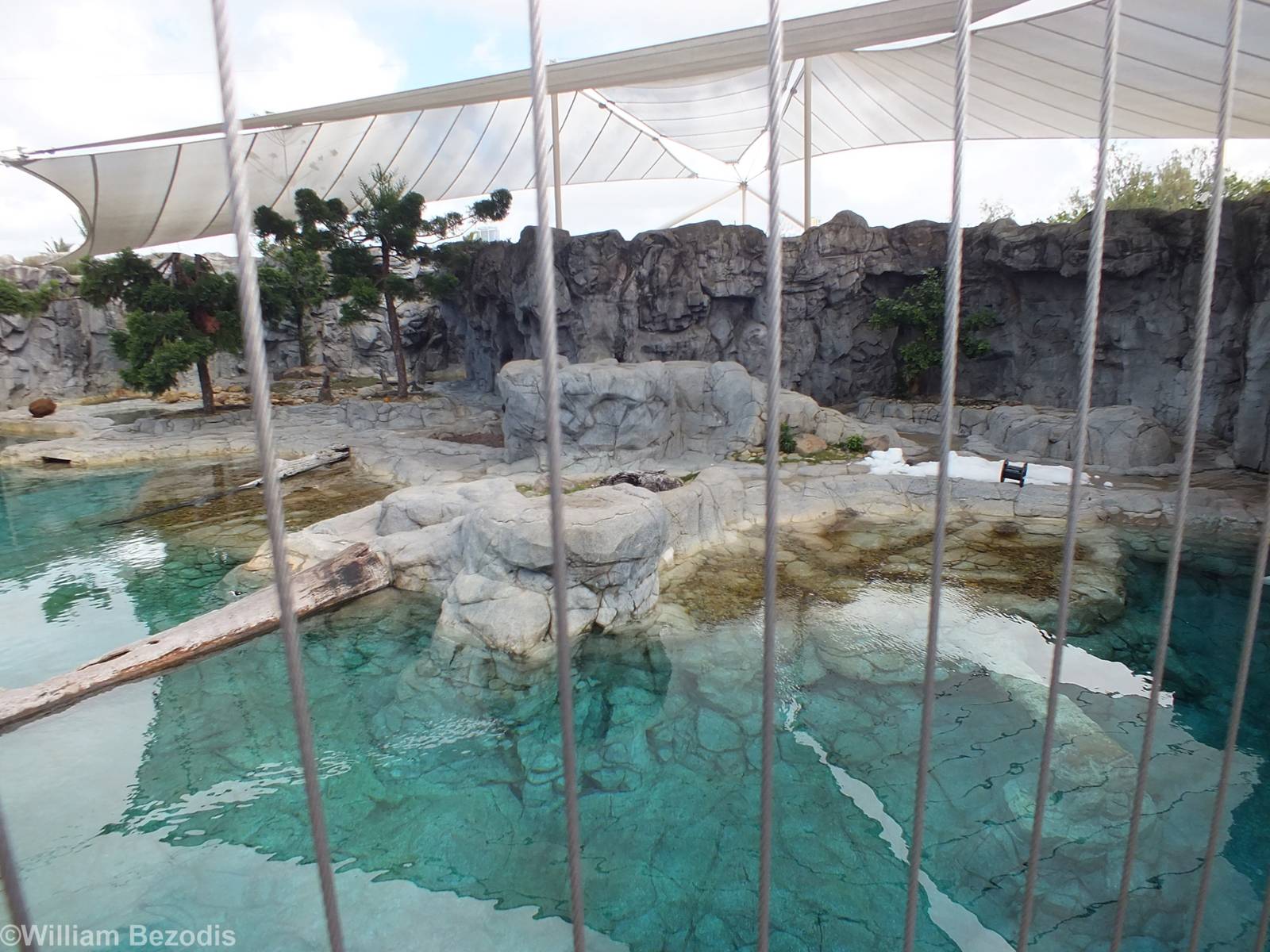 Polar Bear Enclosure