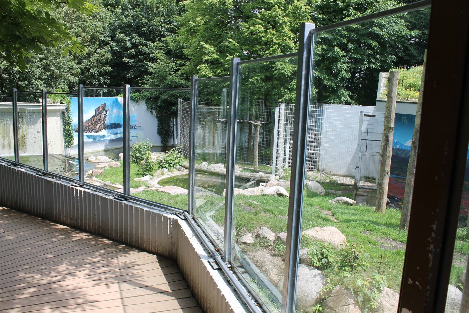 Polar bear enclosure