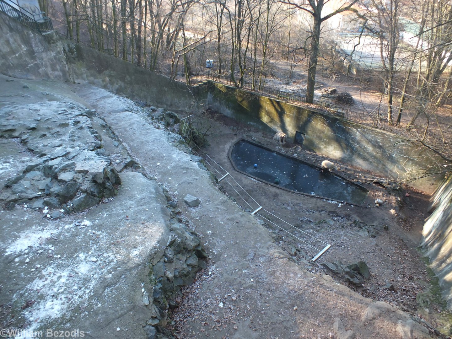 Polar Bear Enclosure