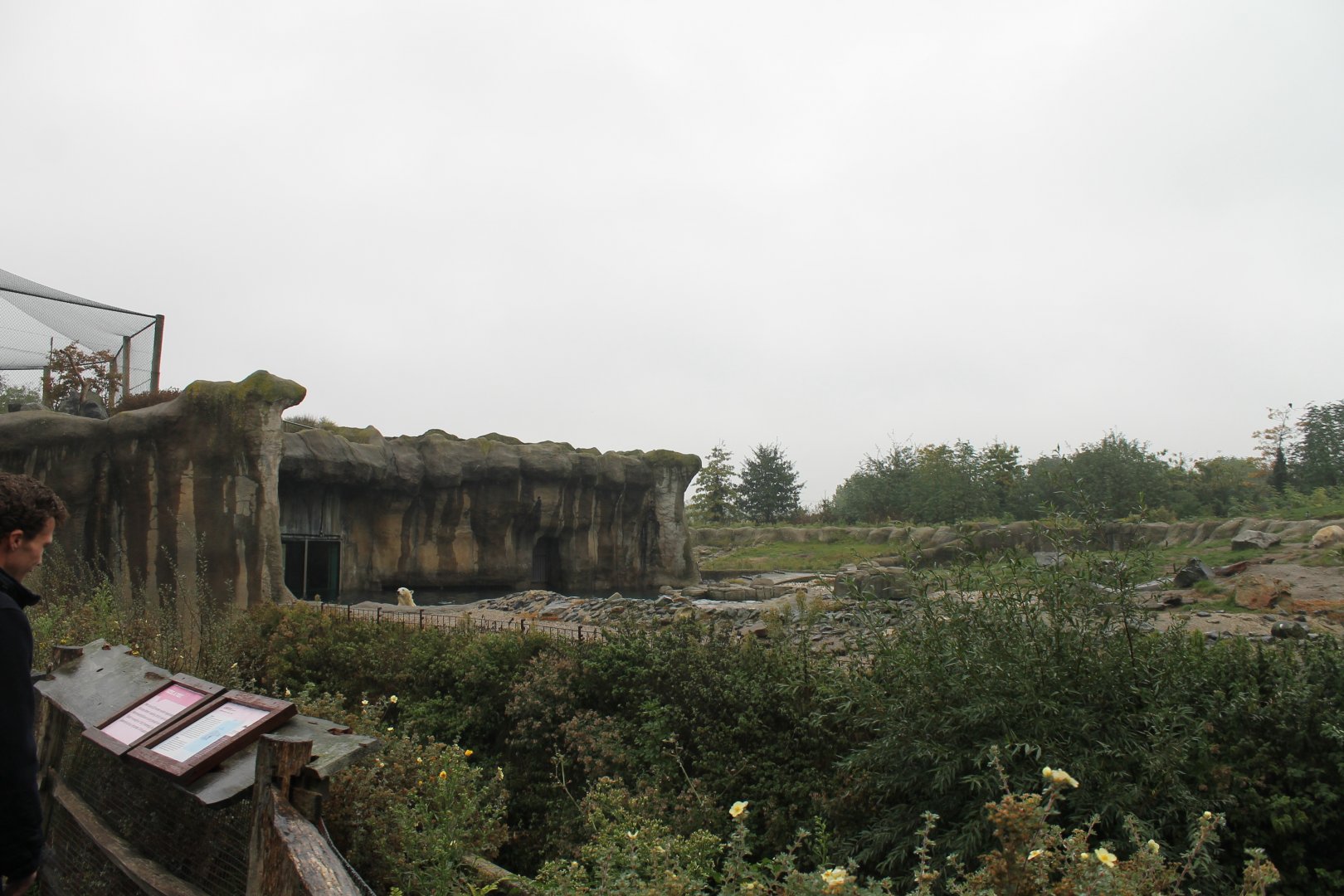 Polar bear enclosure