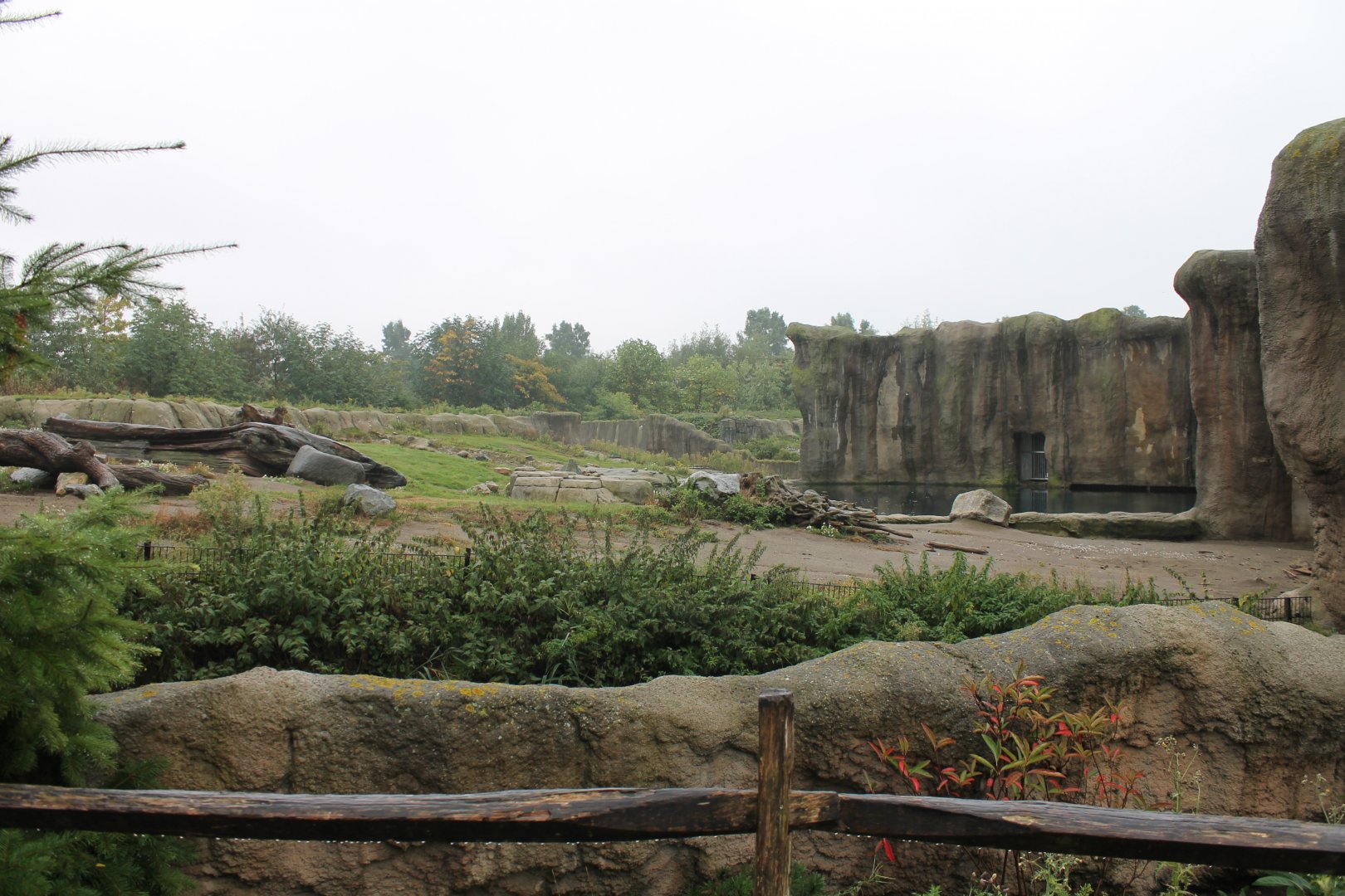 Polar bear enclosure