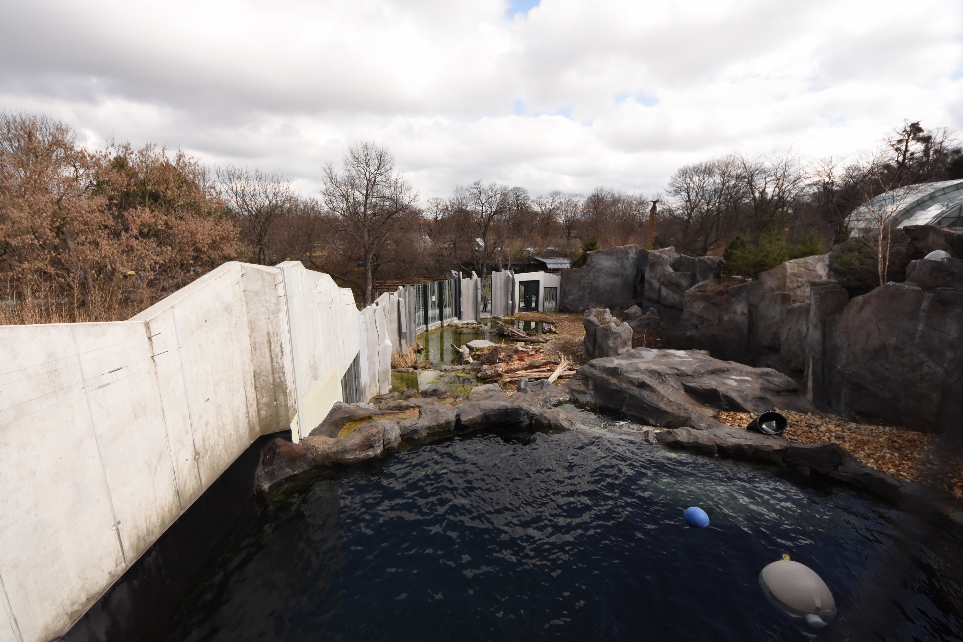 Polar bear enclosure