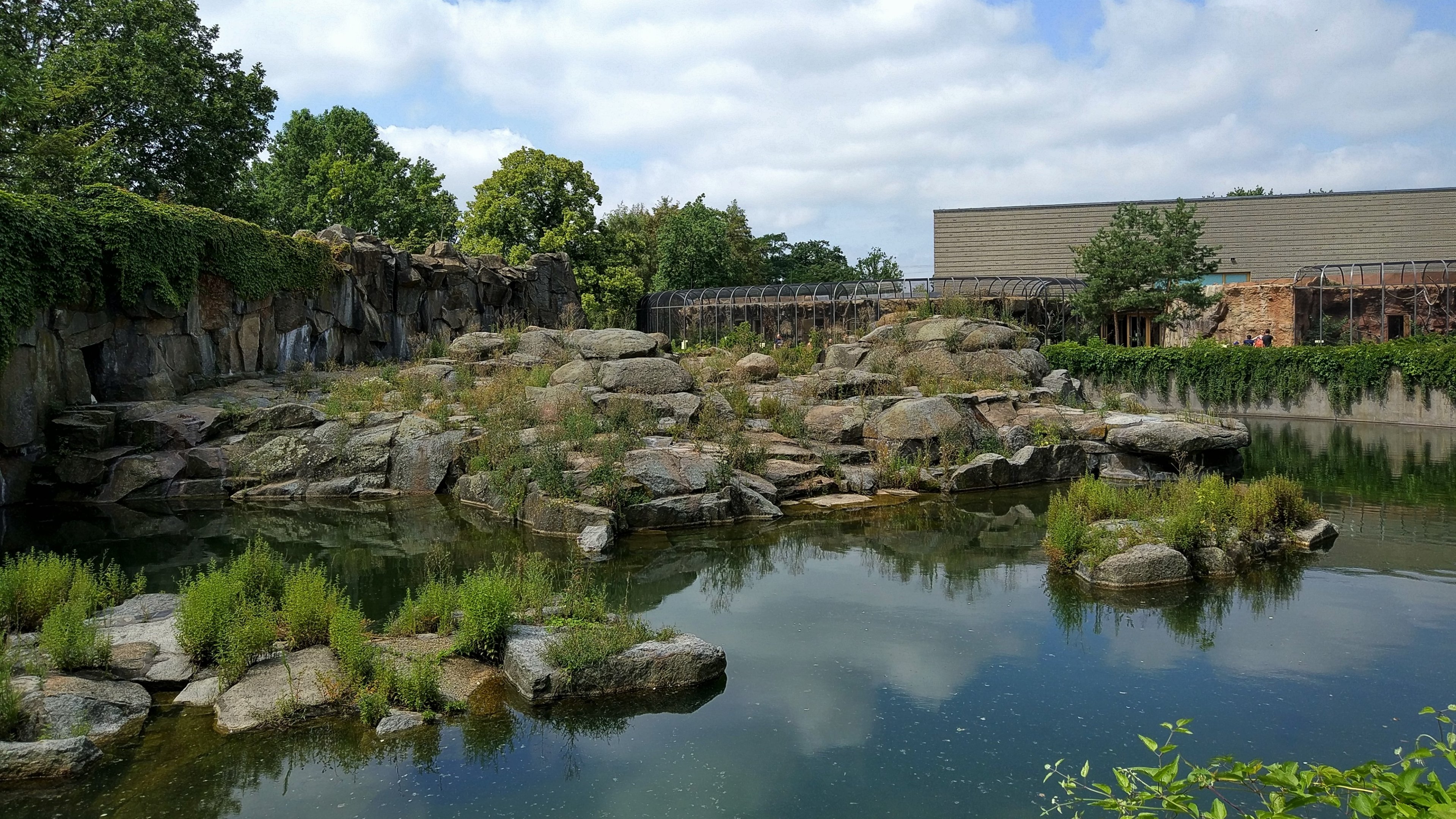 Polar Bear Enclosure