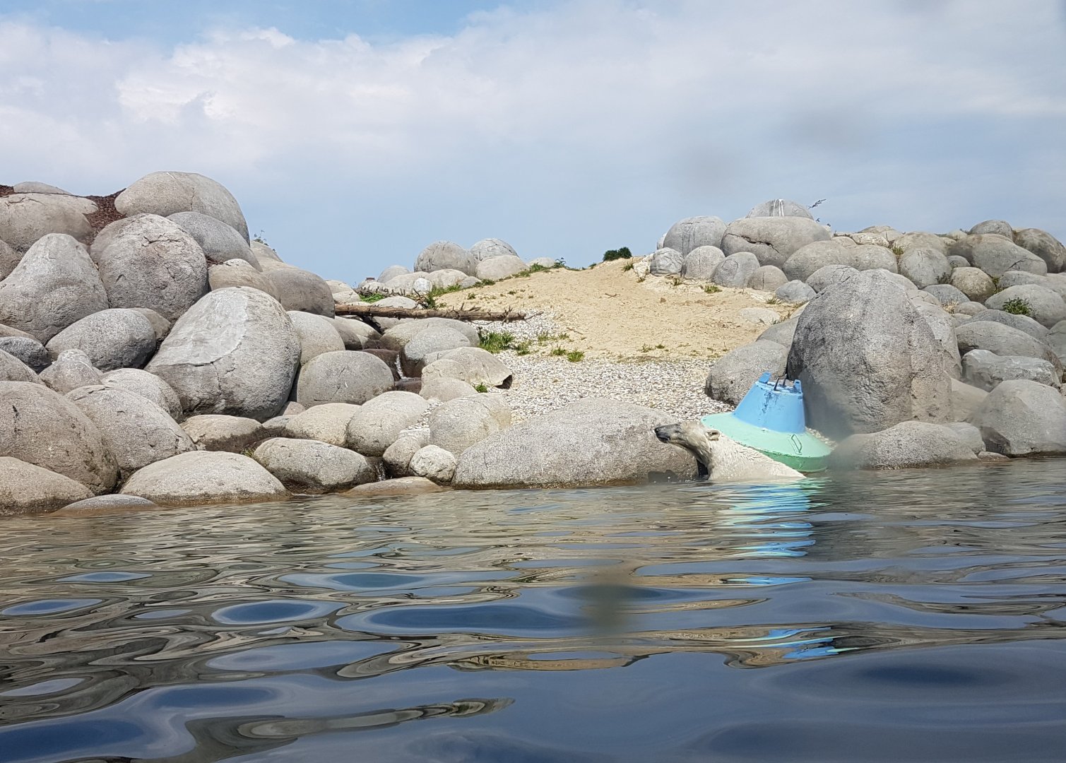 Polar bear enclosure