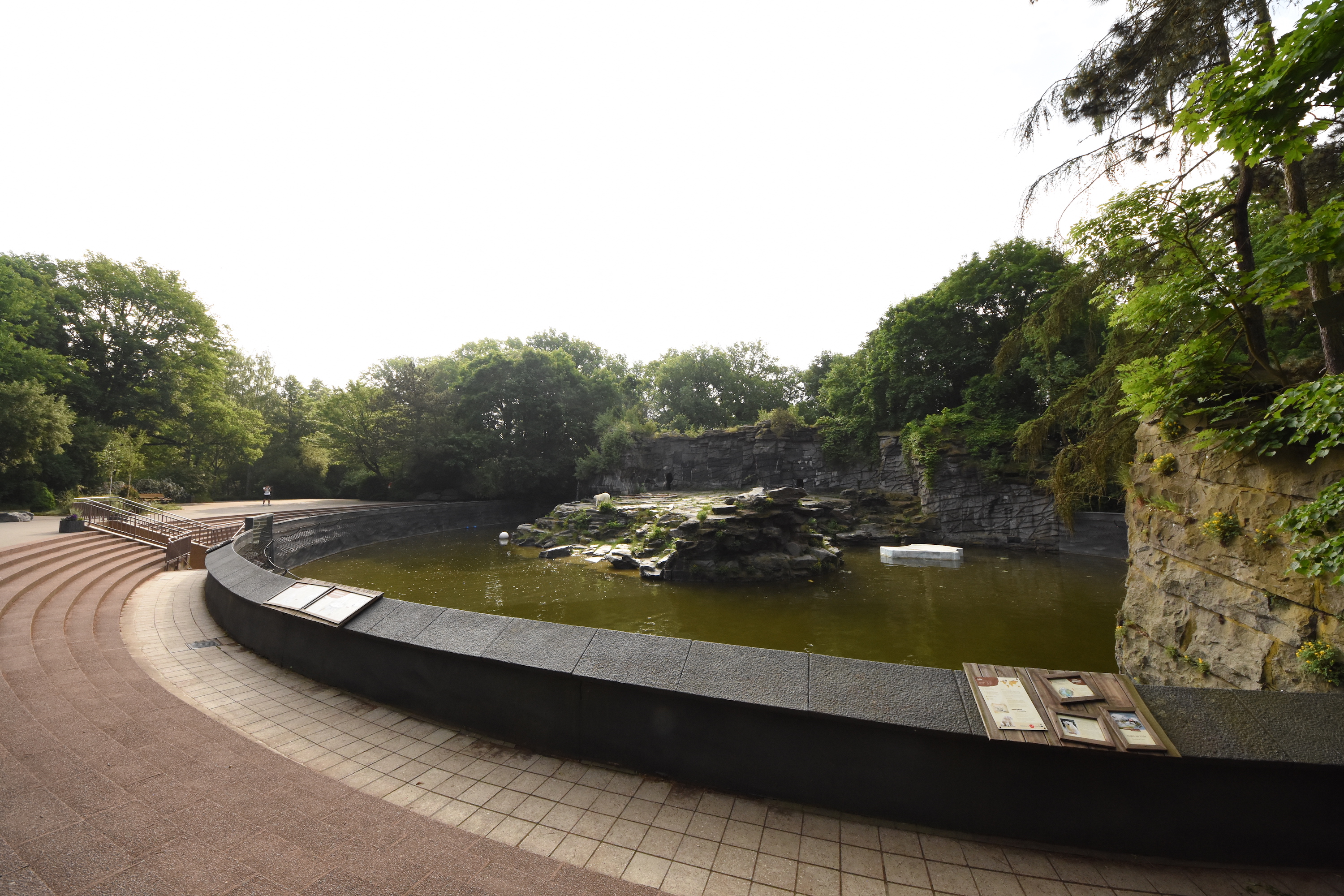 Polar bear enclosure