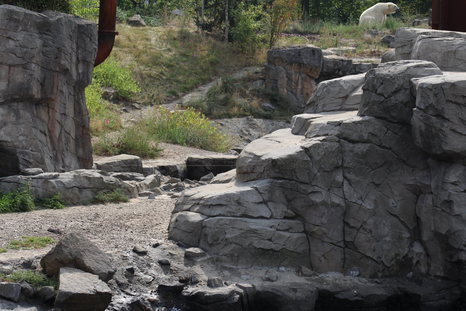 Polar Bear Enclosure