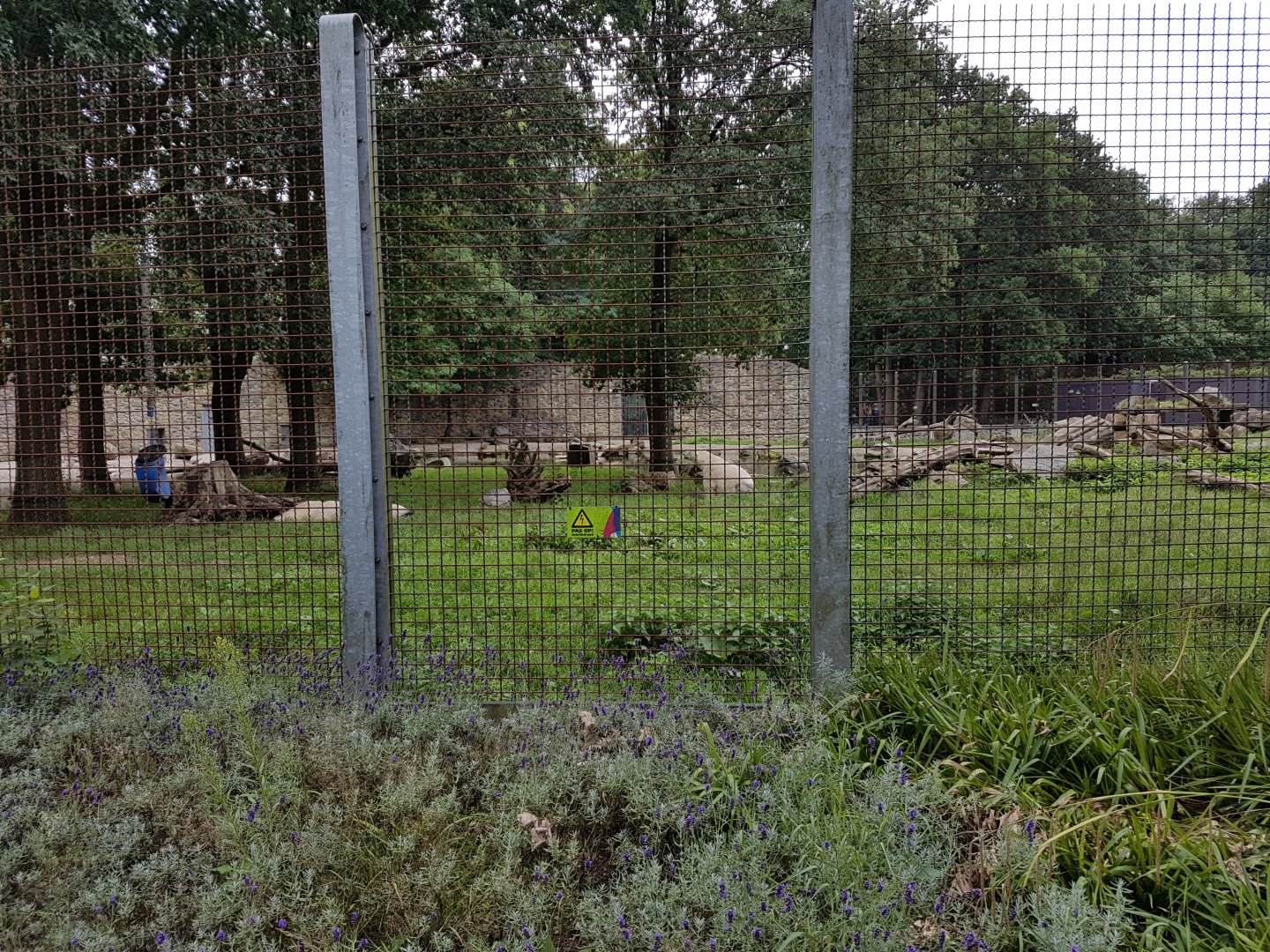 Polar bear enclosure