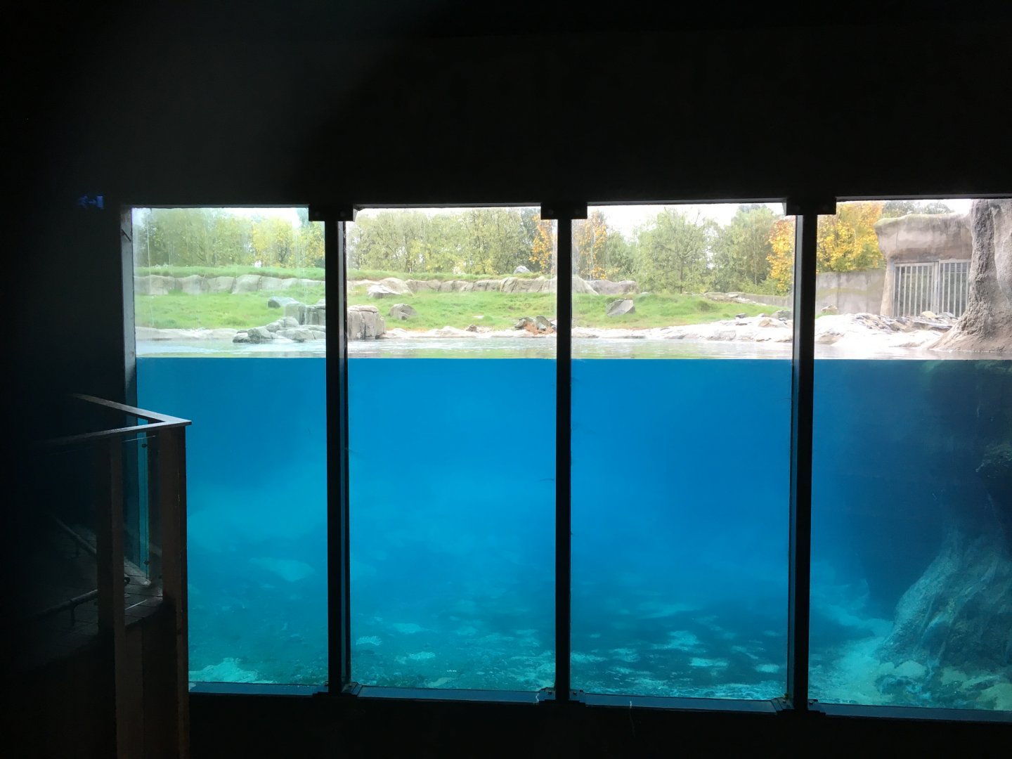 Polar bear enclosure