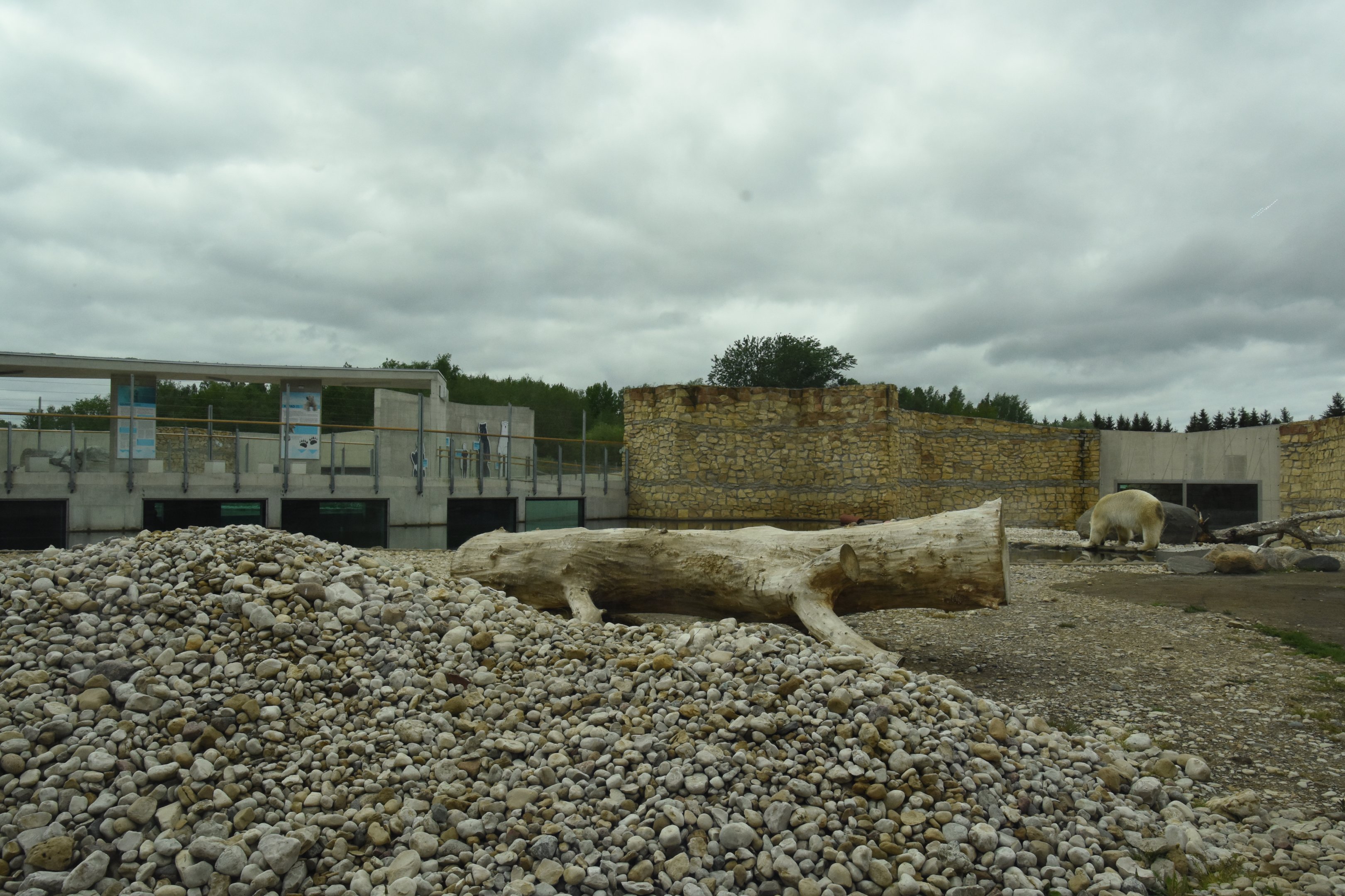 Polar bear enclosure
